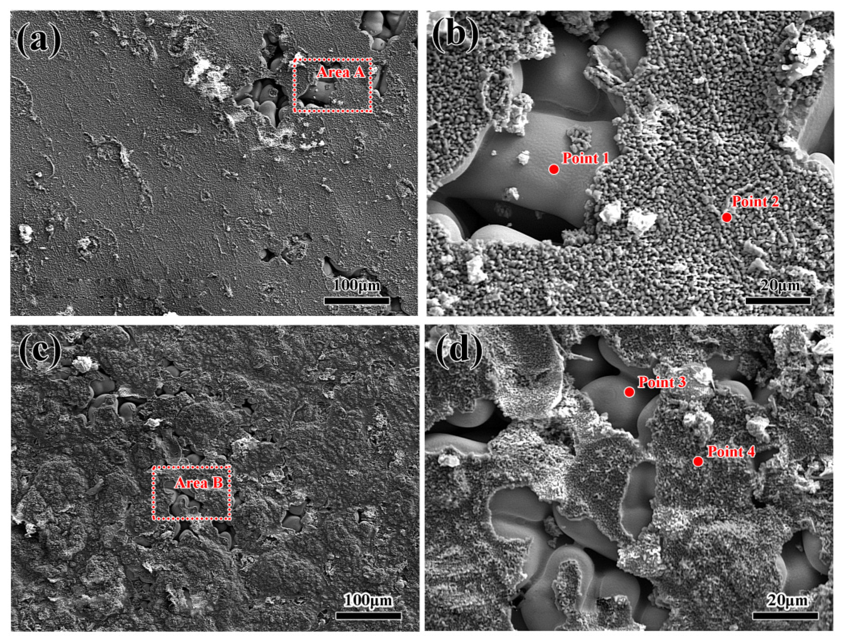 Metals 14 00164 g005