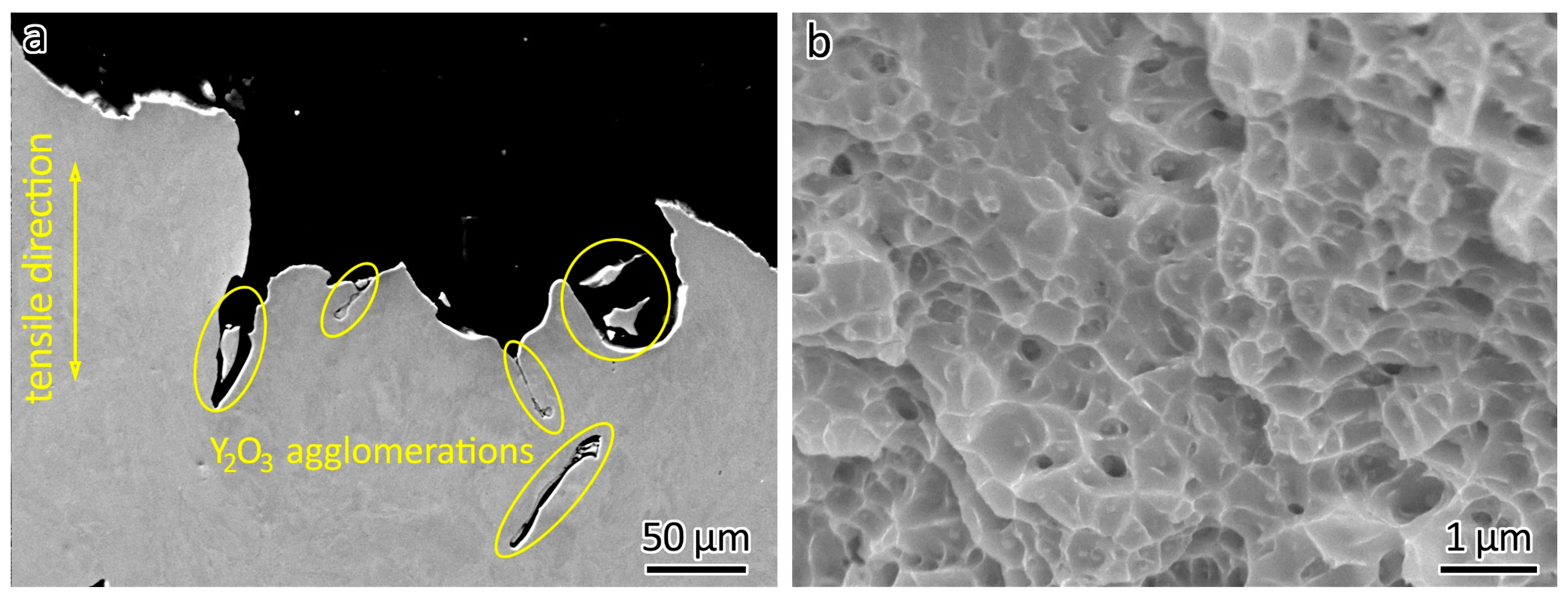 Metals 14 00170 g008