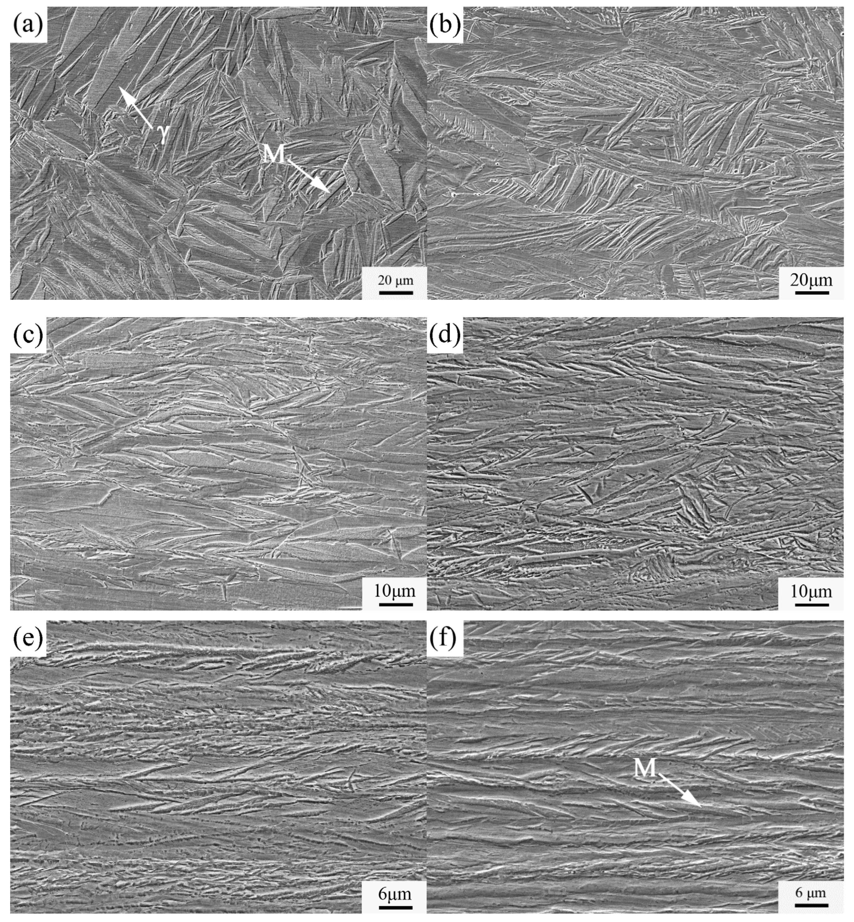 Metals 14 00174 g005