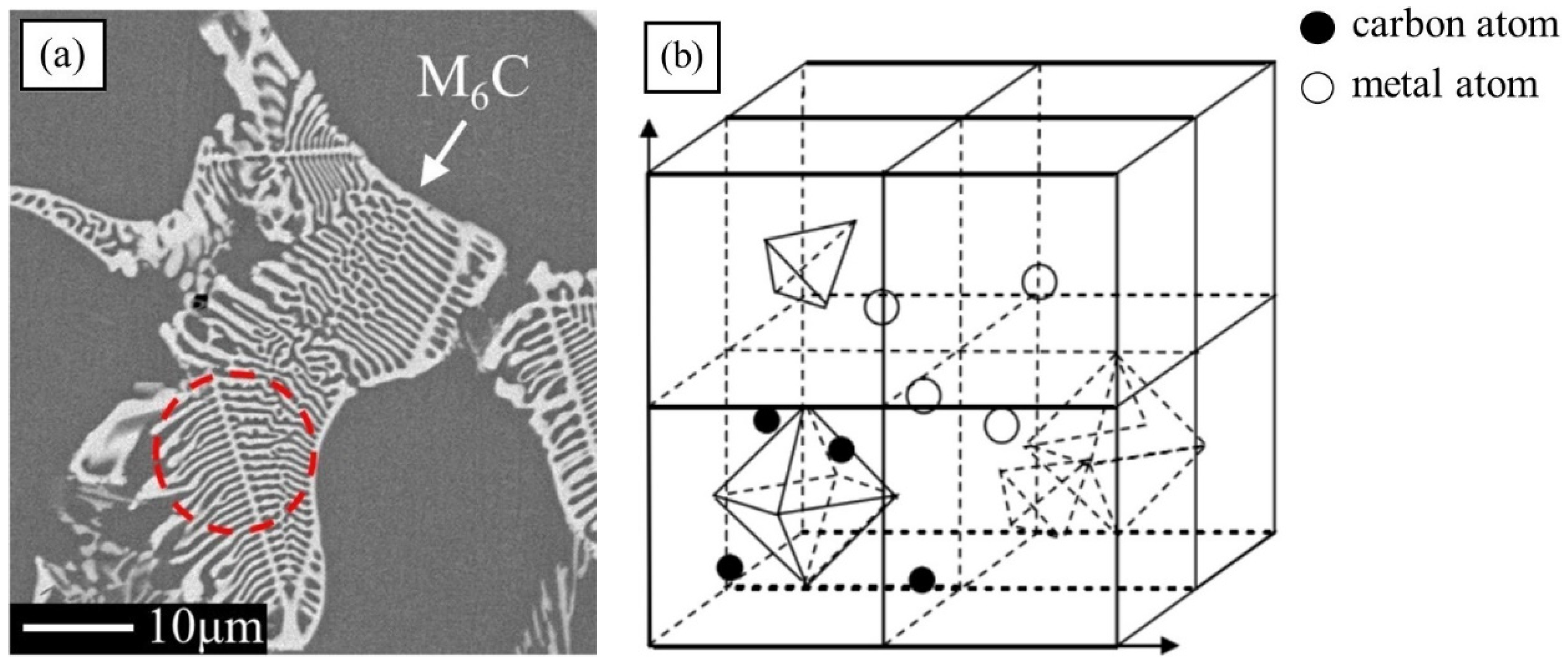 Metals 14 00175 g004