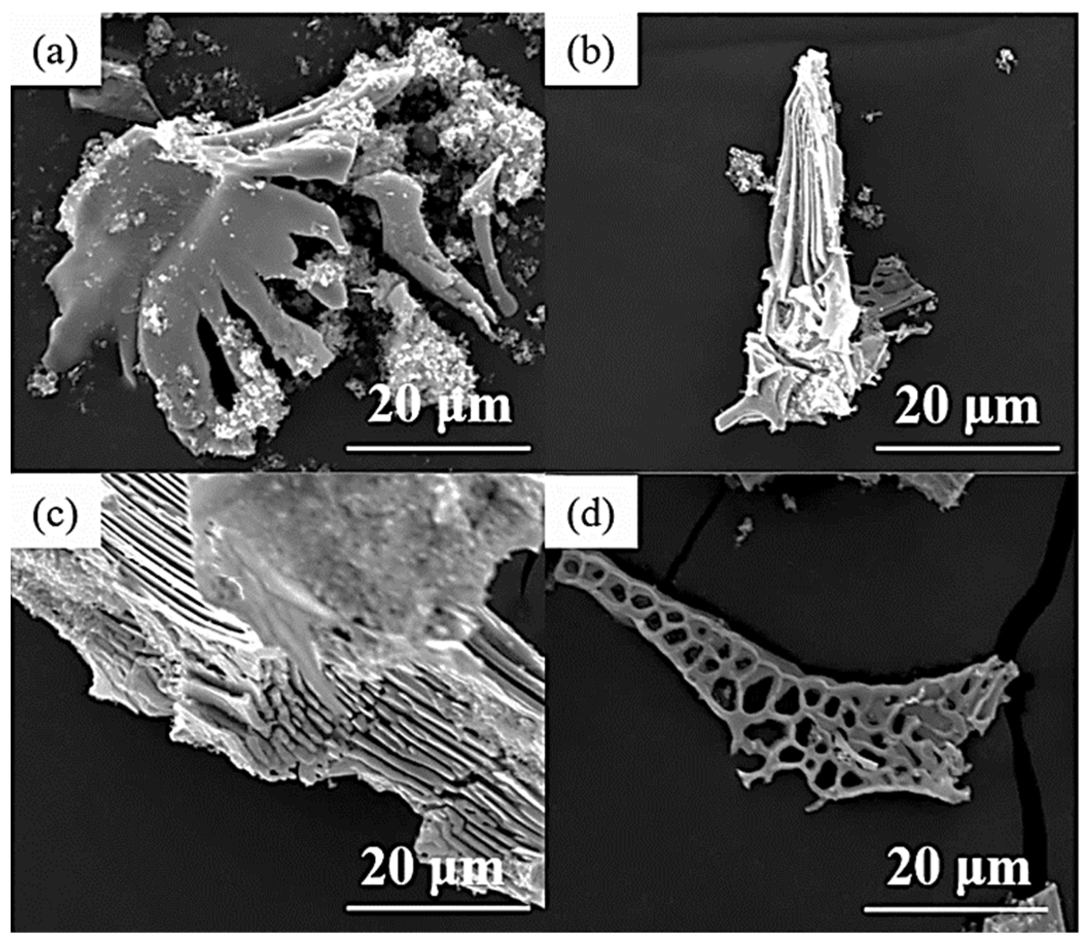 Metals 14 00175 g008