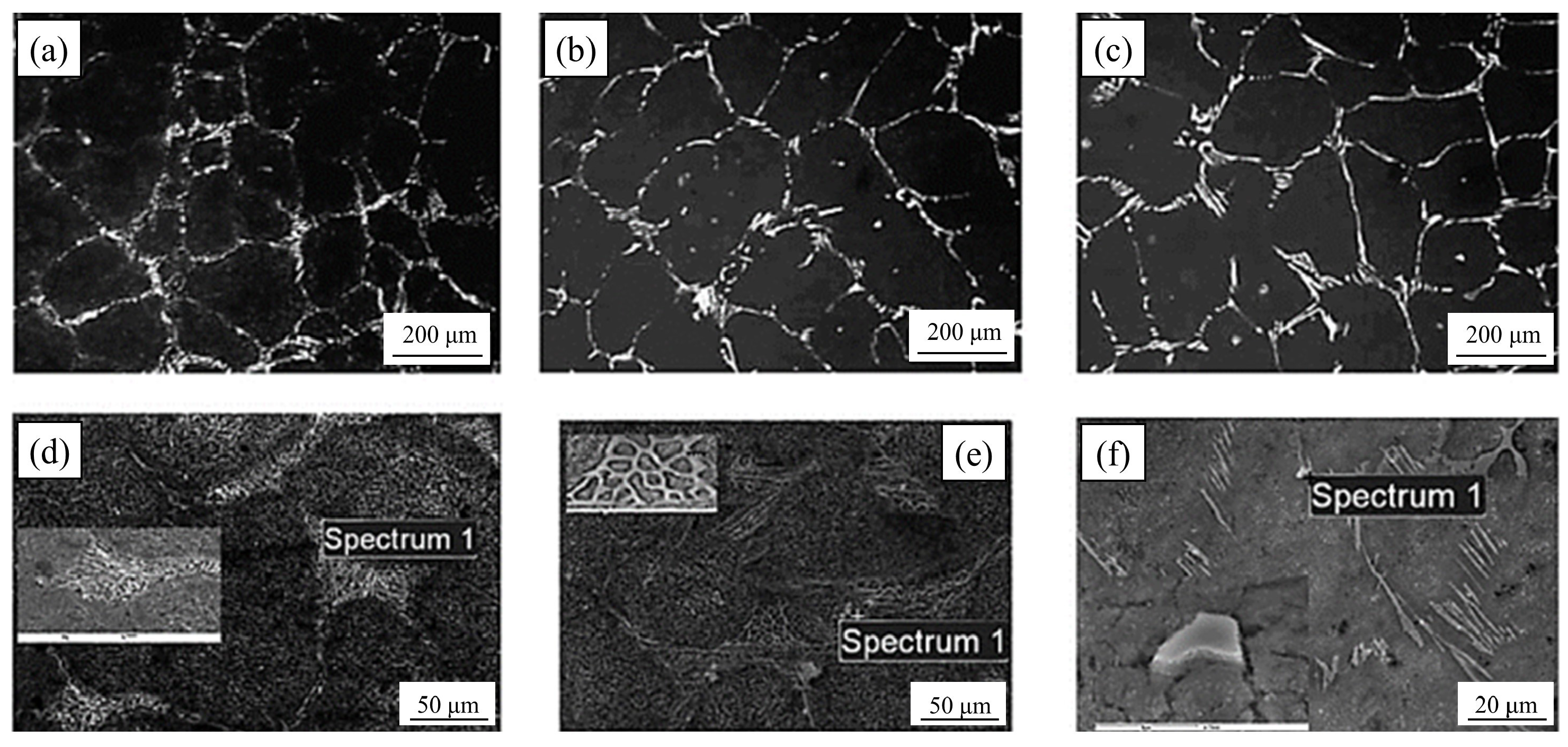 Metals 14 00175 g010