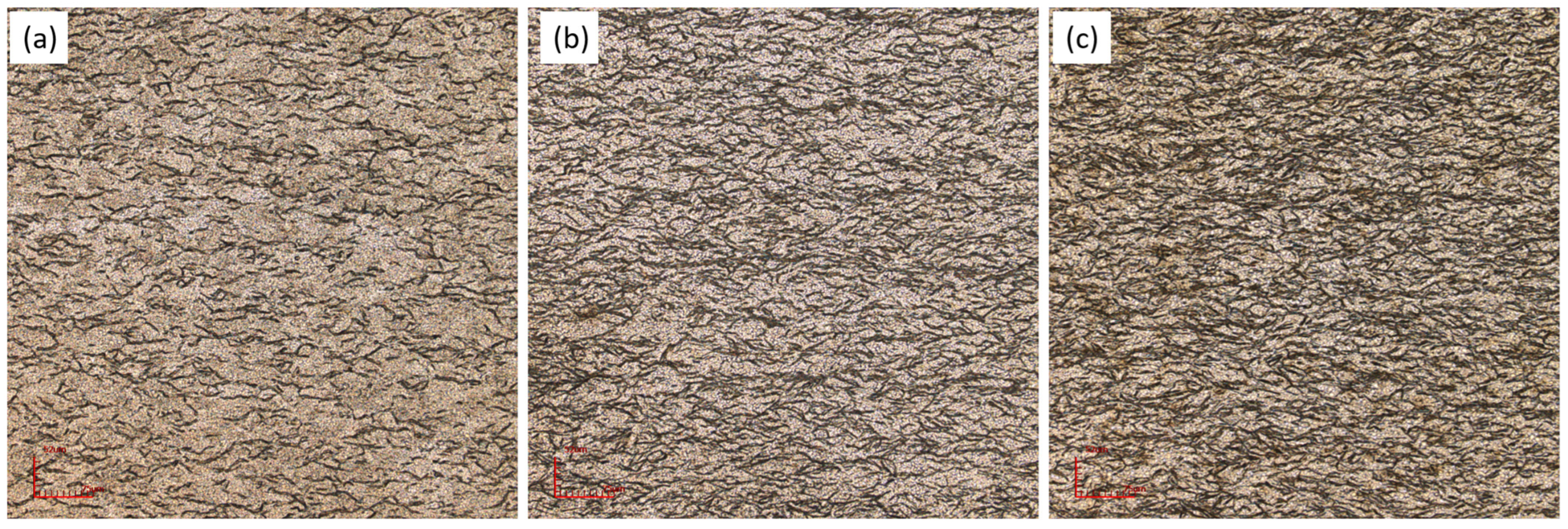 Metals 14 00177 g006