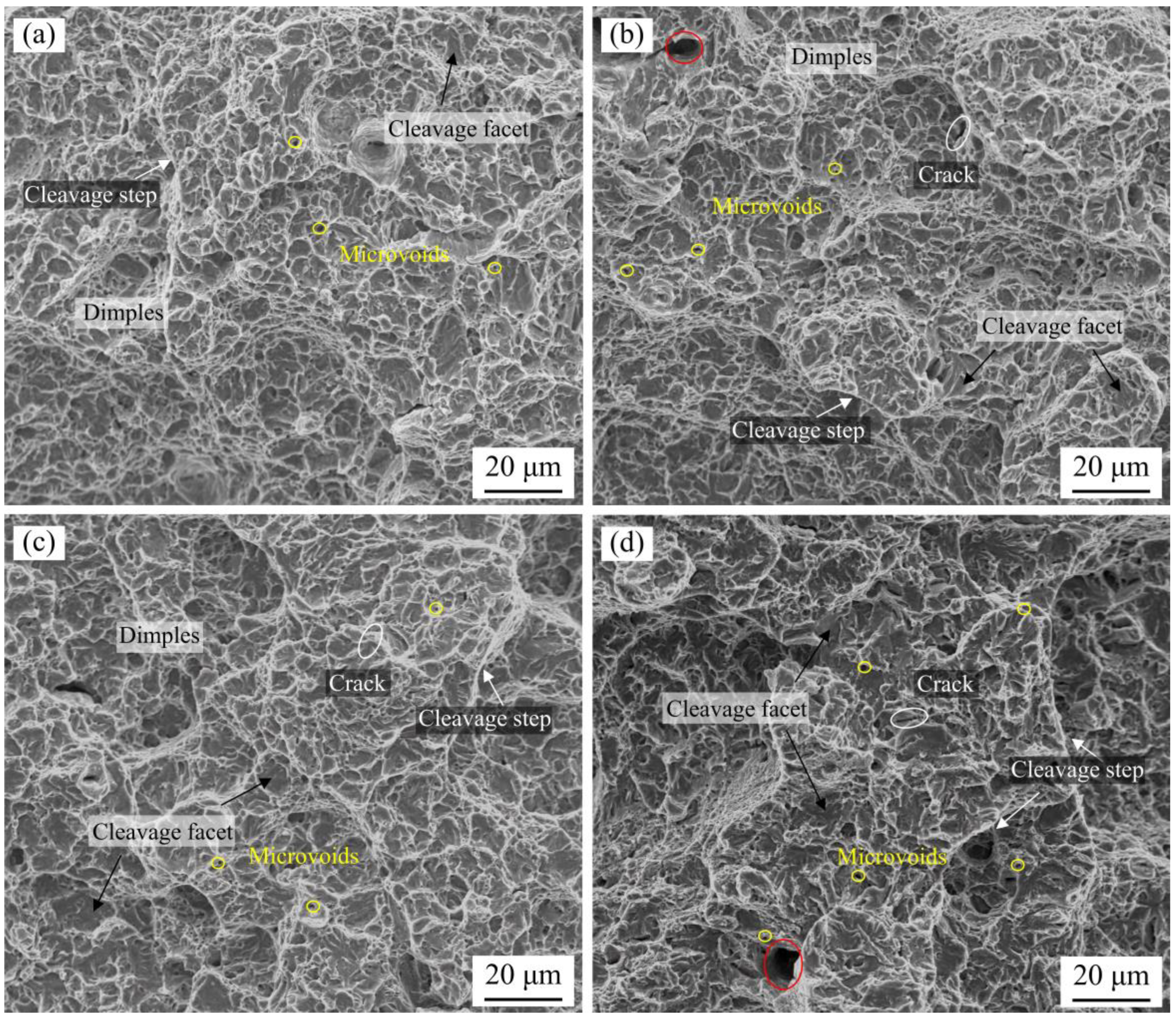 Metals 14 00180 g007