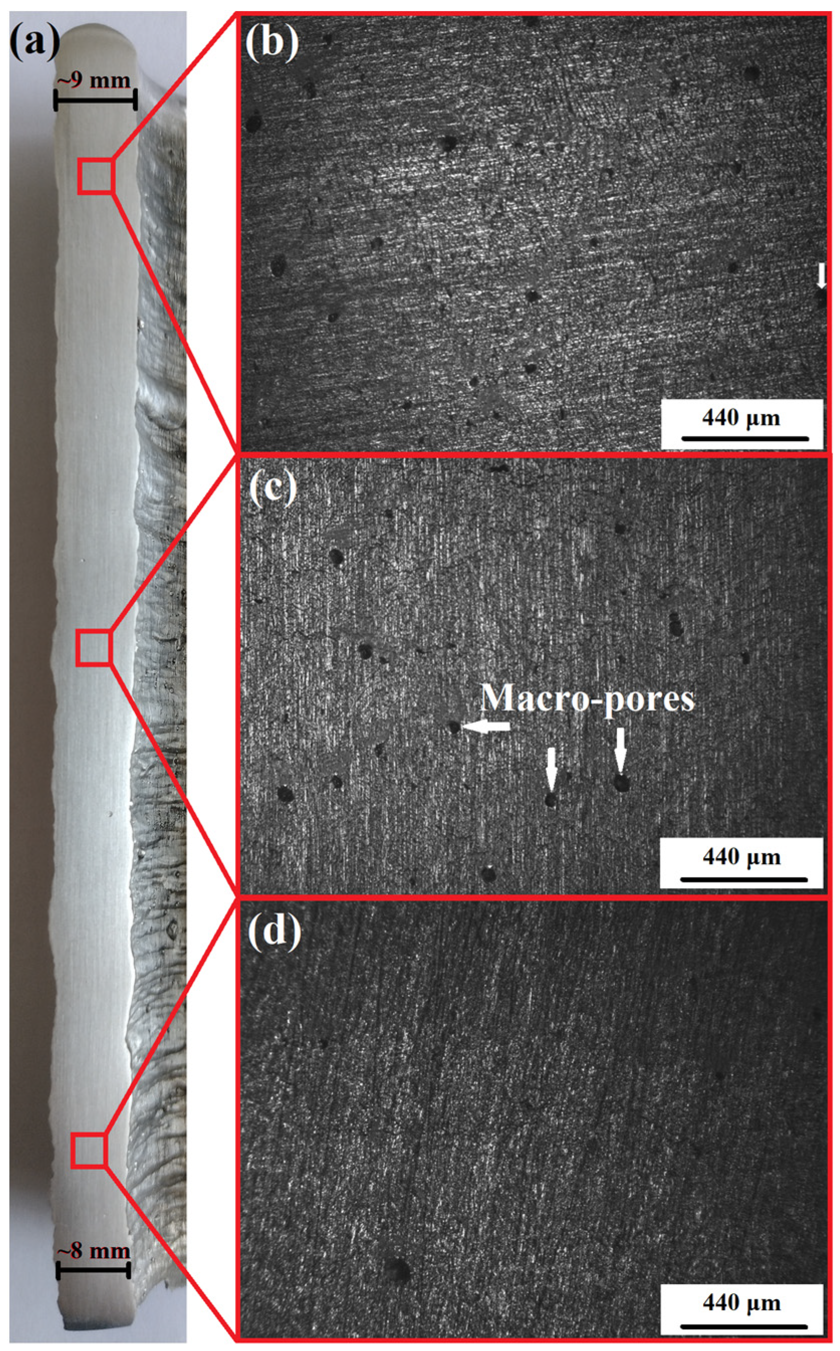 Metals 14 00183 g008