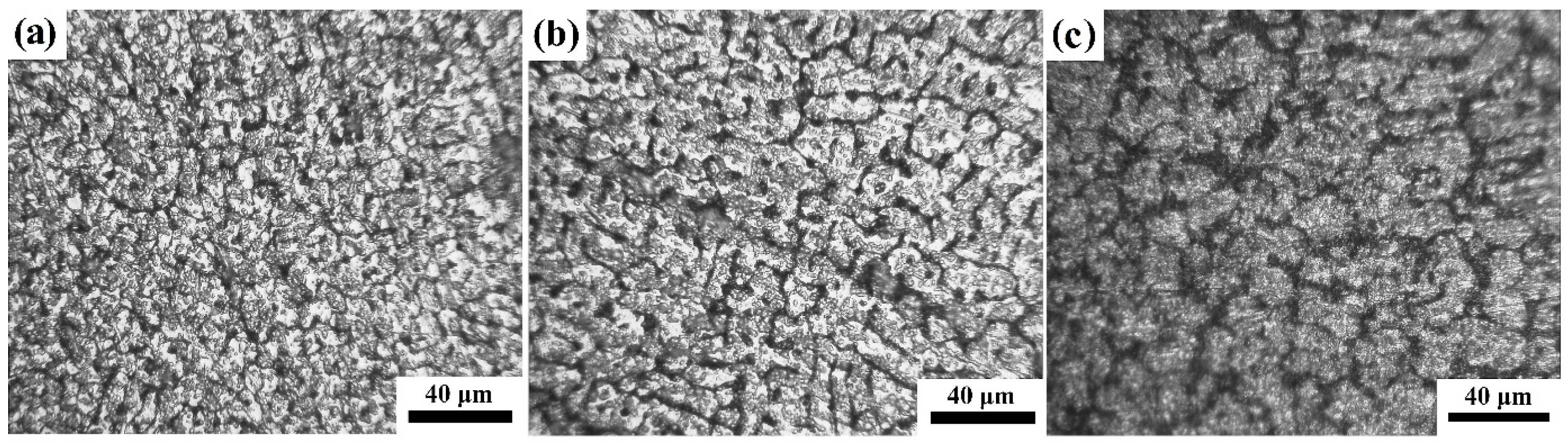 Metals 14 00183 g012