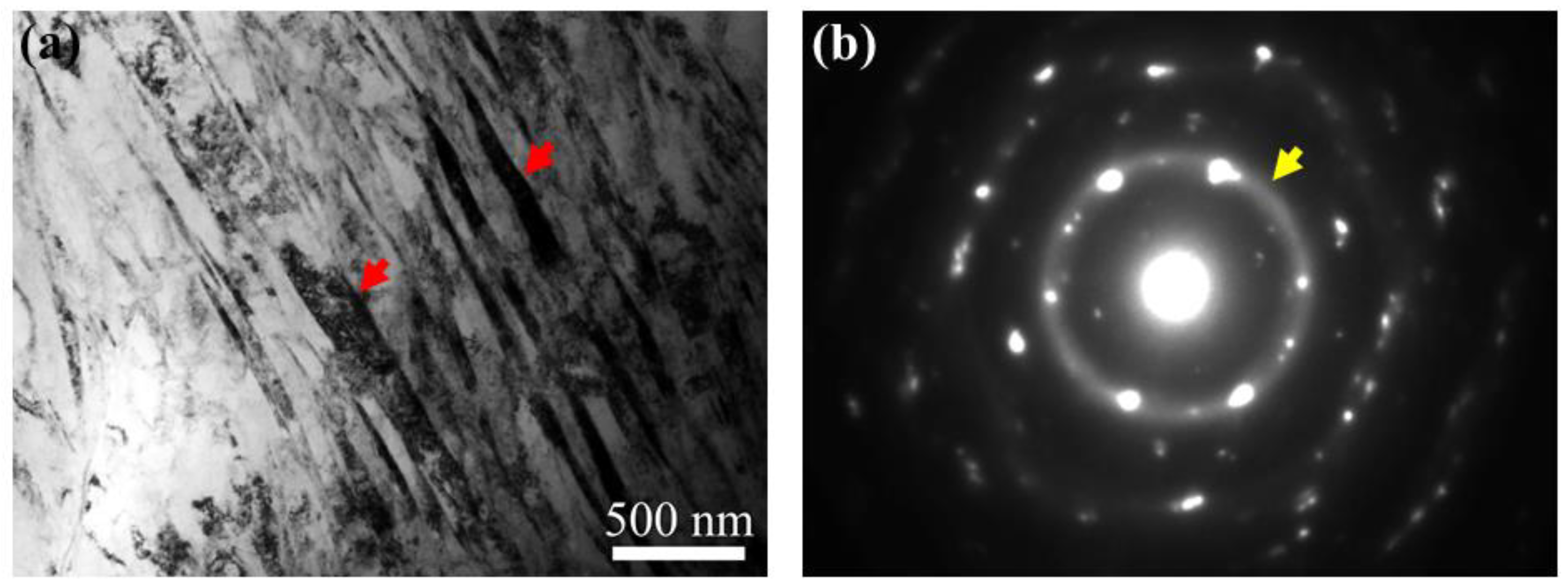 Metals 14 00184 g005