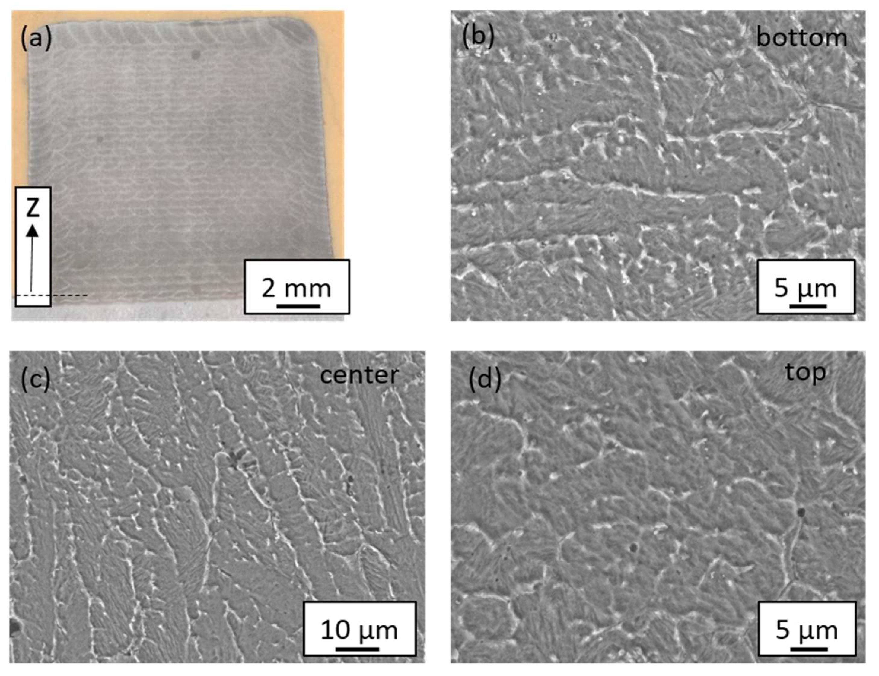 Metals 14 00188 g015