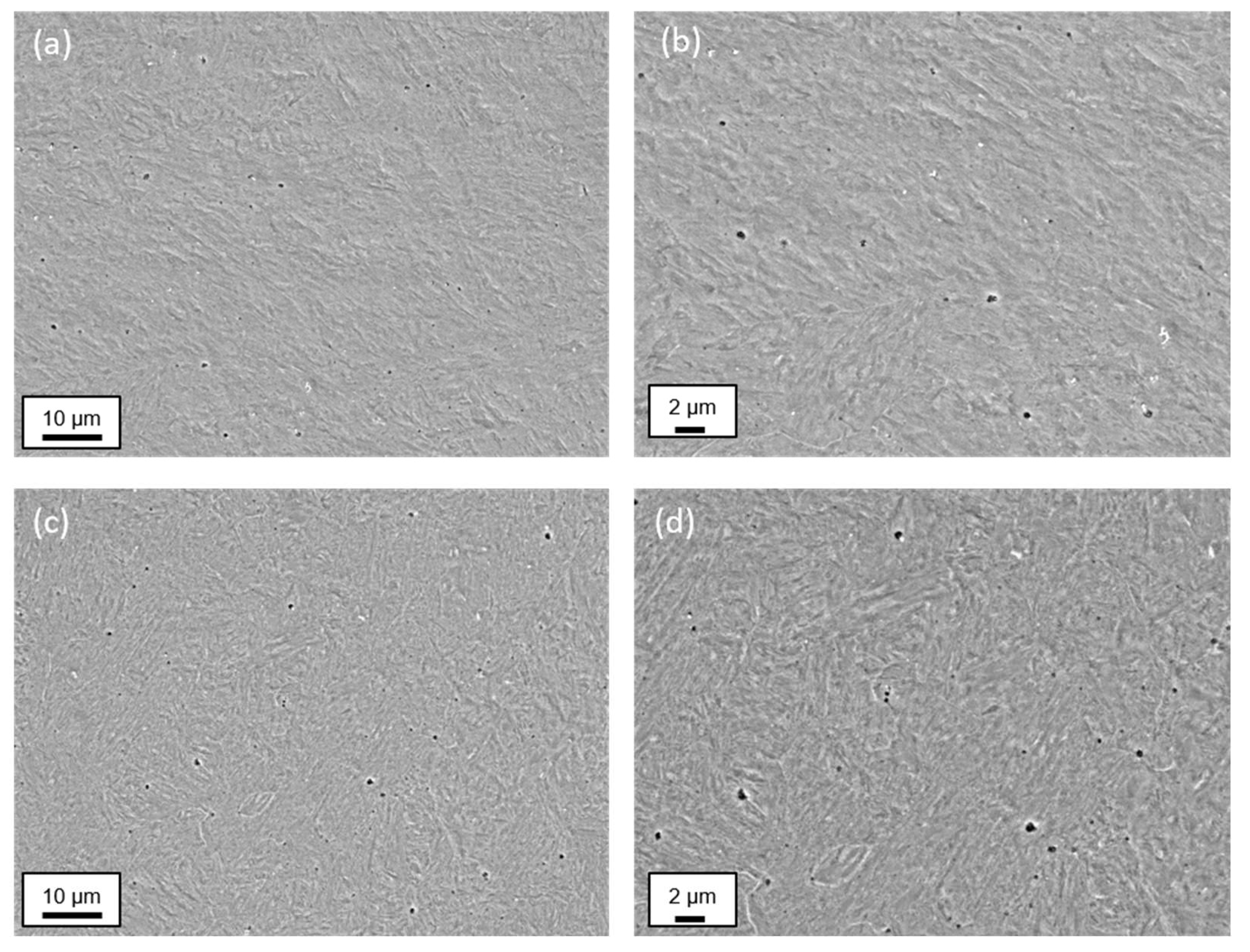 Metals 14 00188 g016