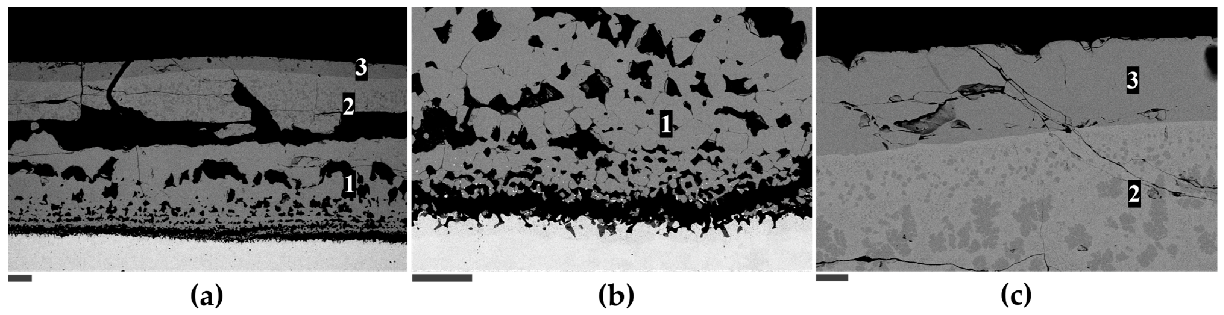 Metals 14 00189 g004