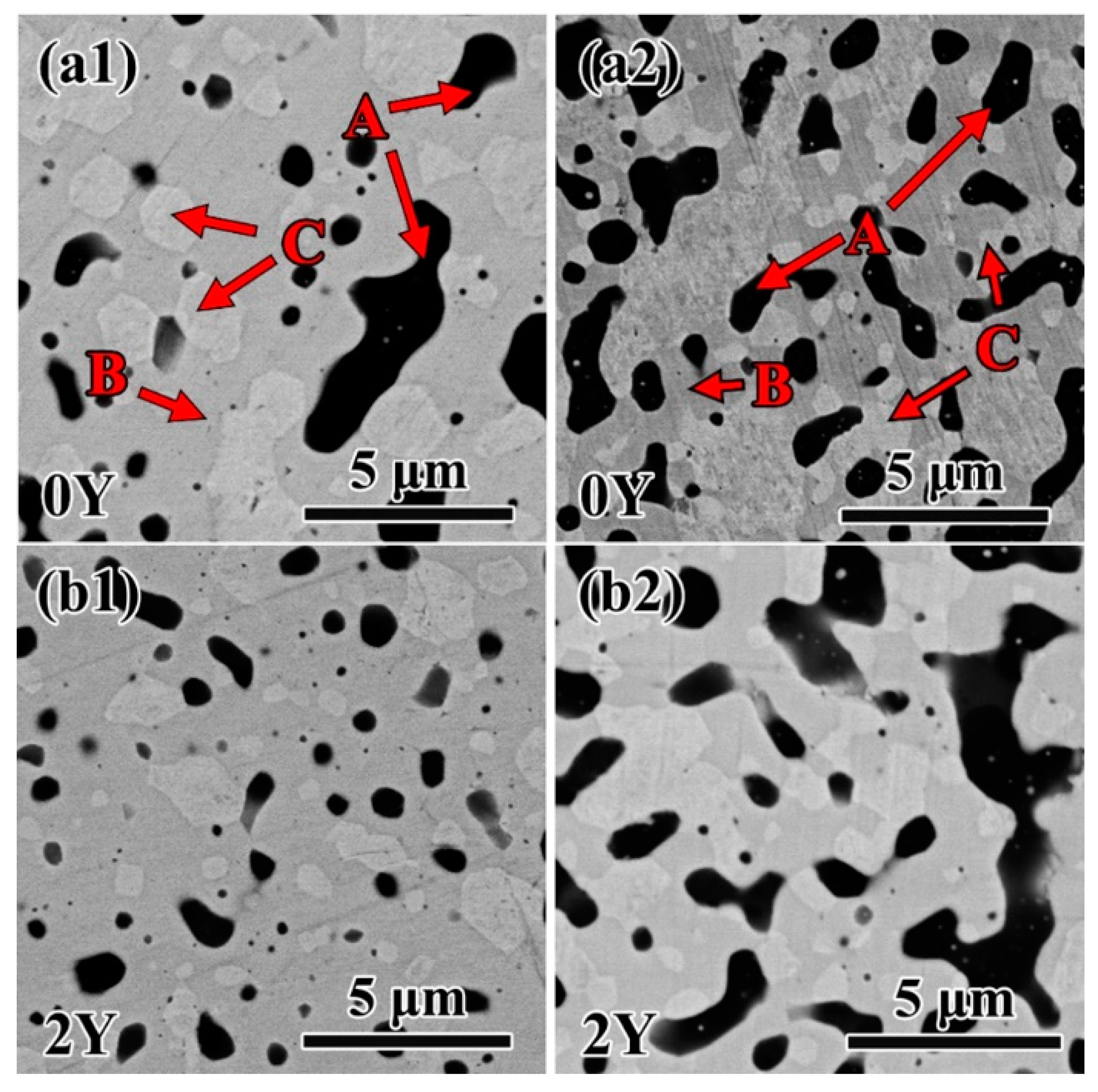 Metals 14 00194 g005a