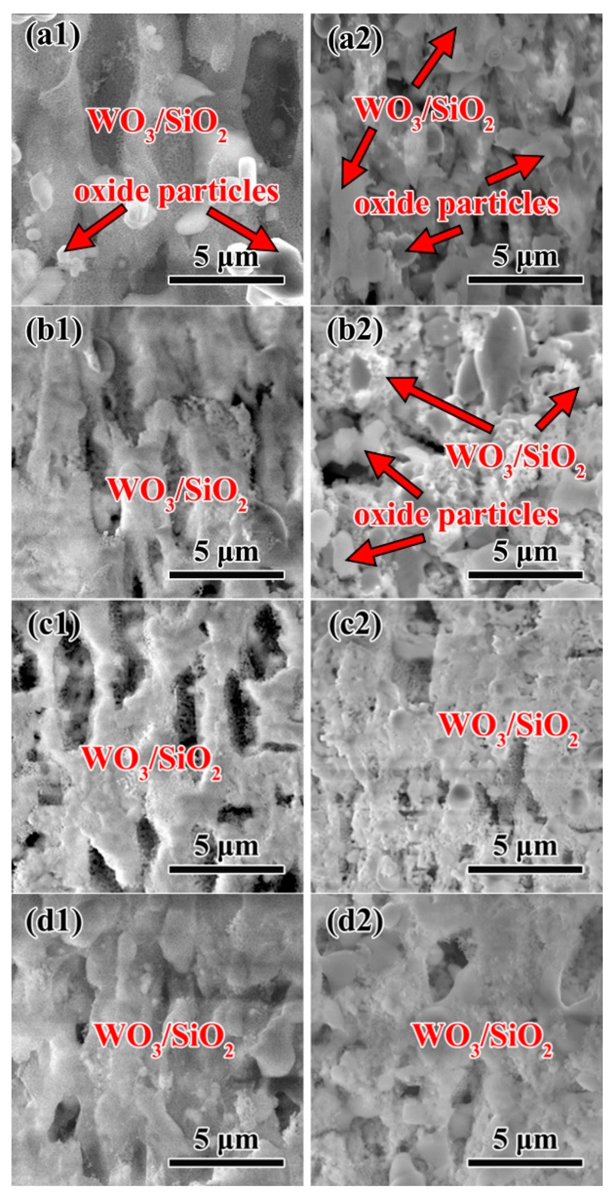 Metals 14 00194 g008