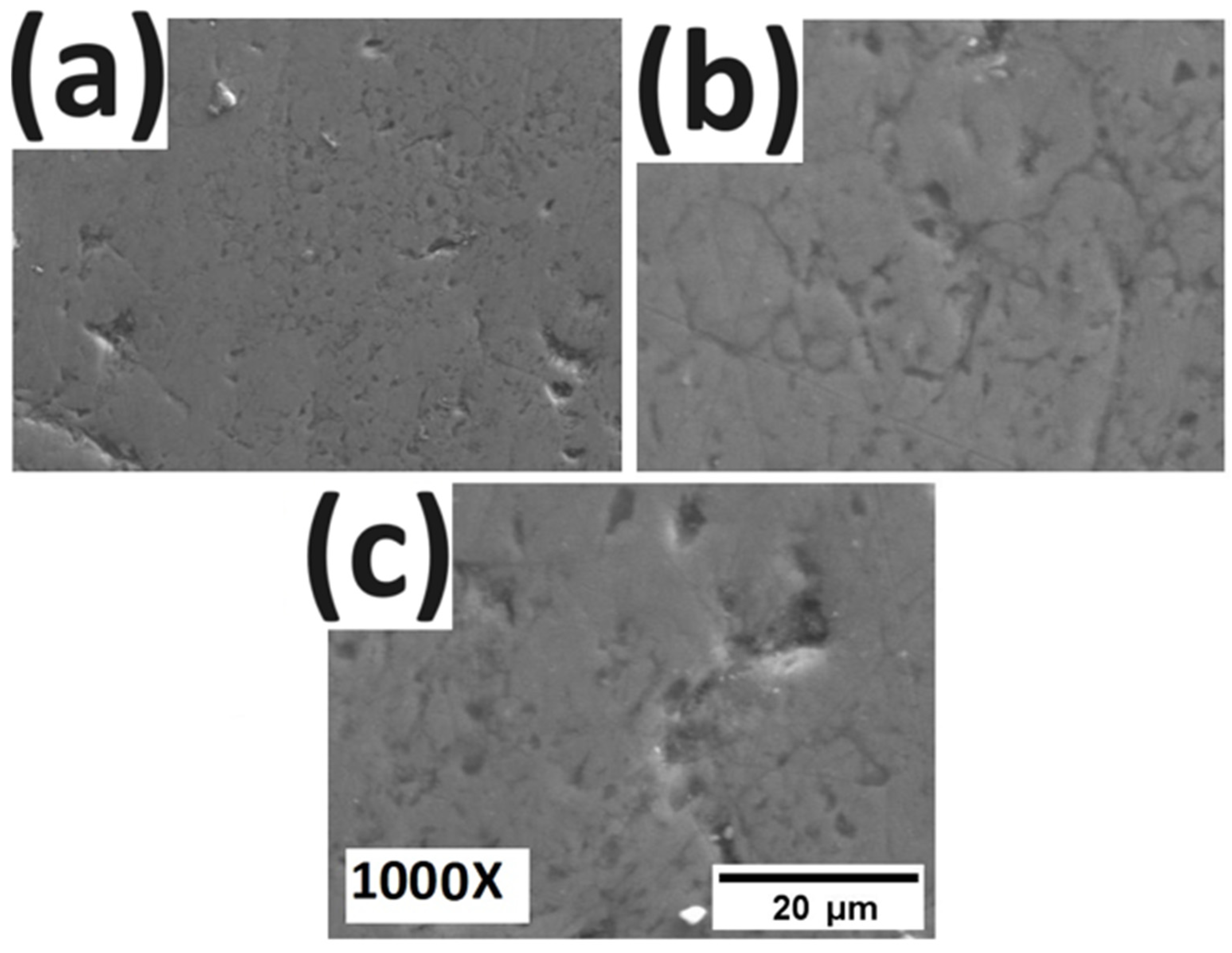 Metals 14 00203 g010