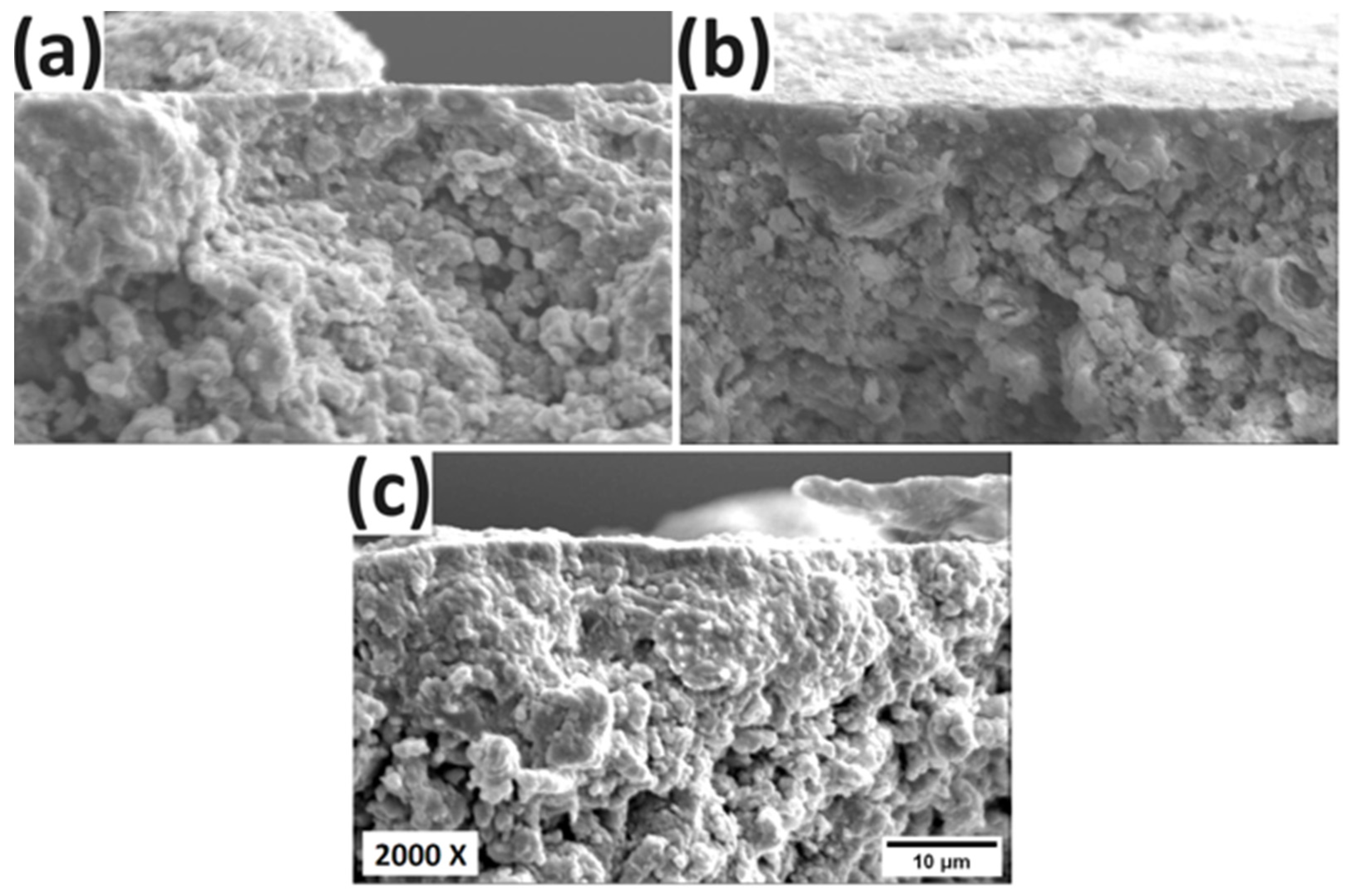 Metals 14 00203 g012