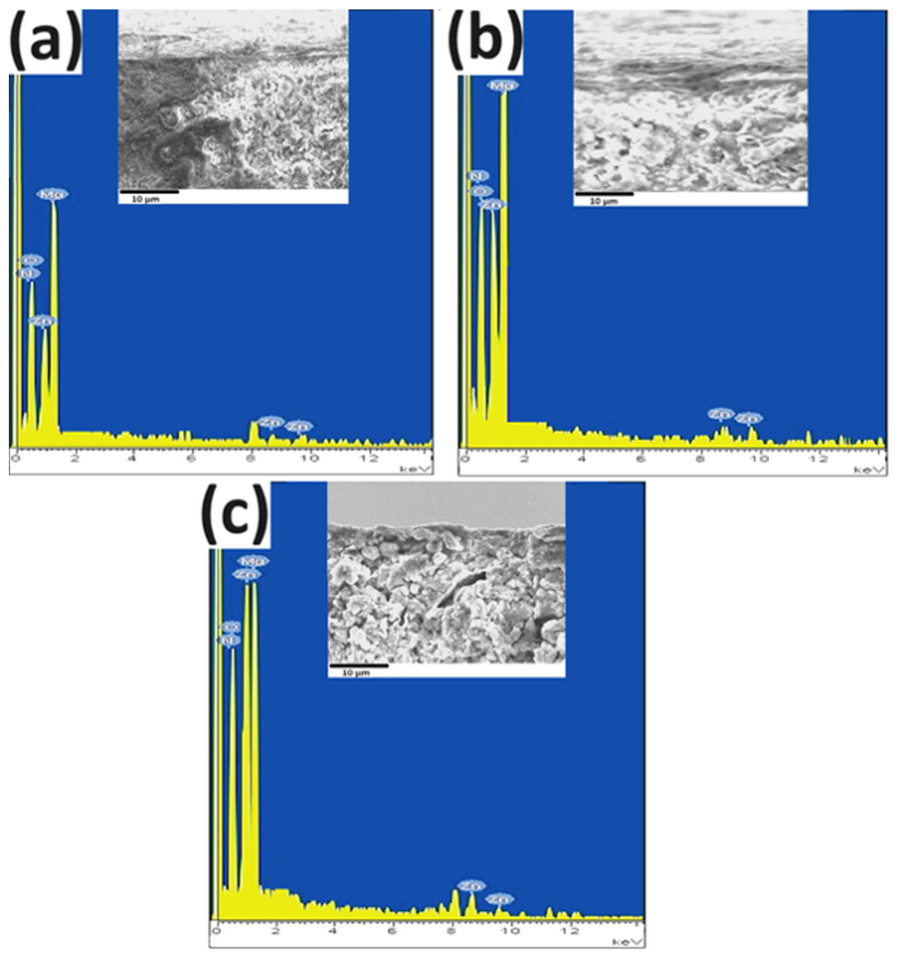 Metals 14 00203 g013