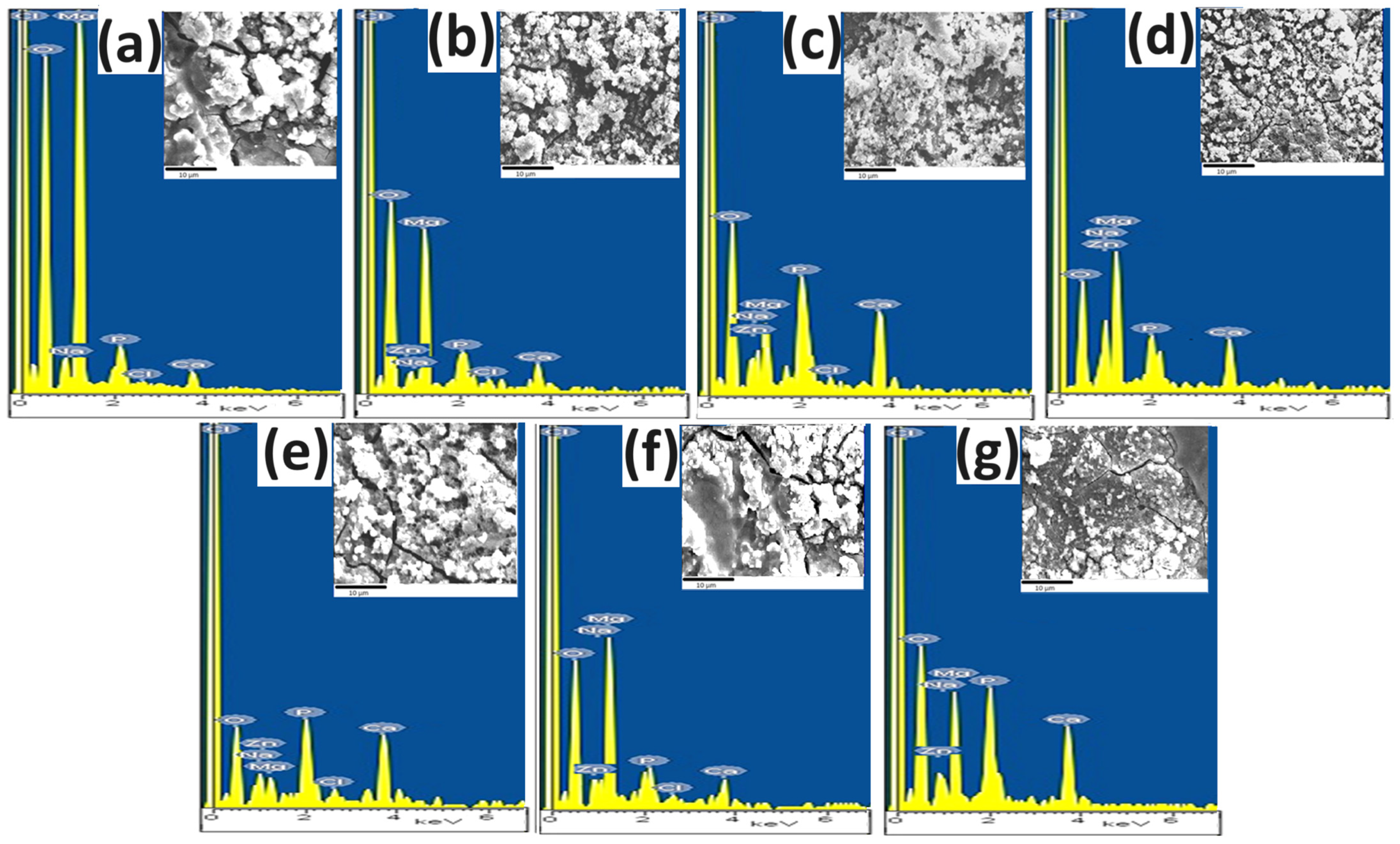 Metals 14 00203 g016