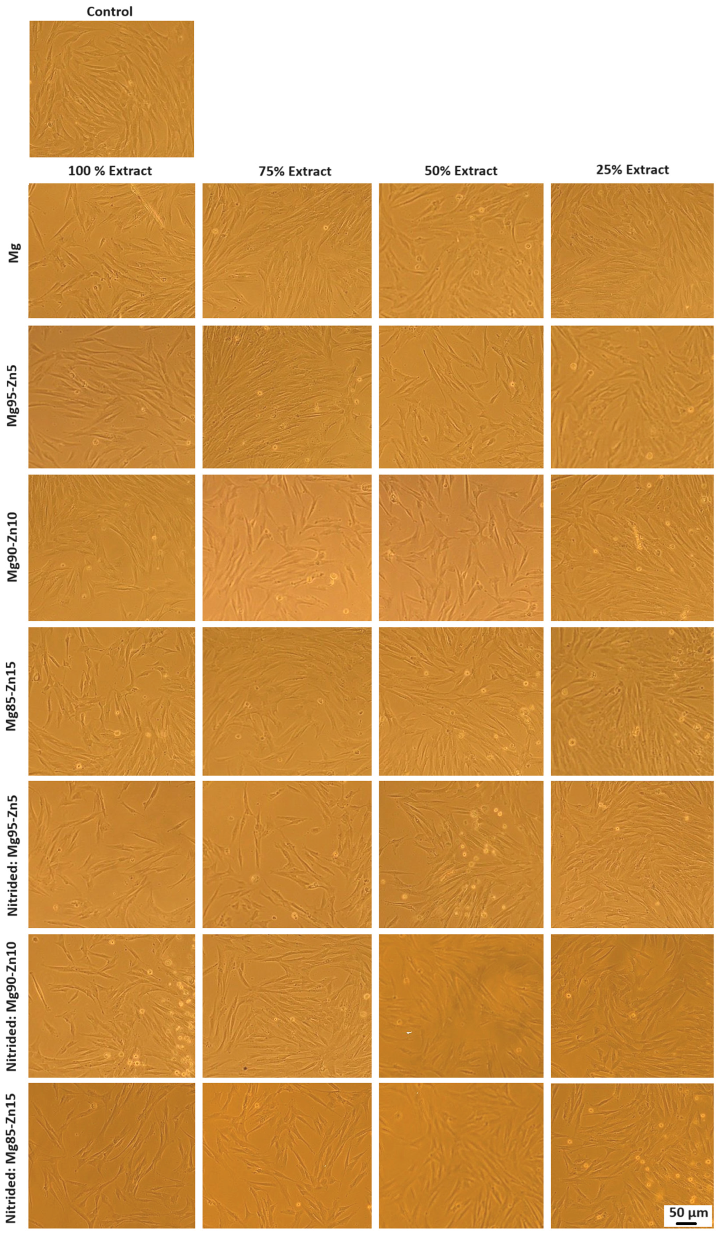 Metals 14 00203 g018