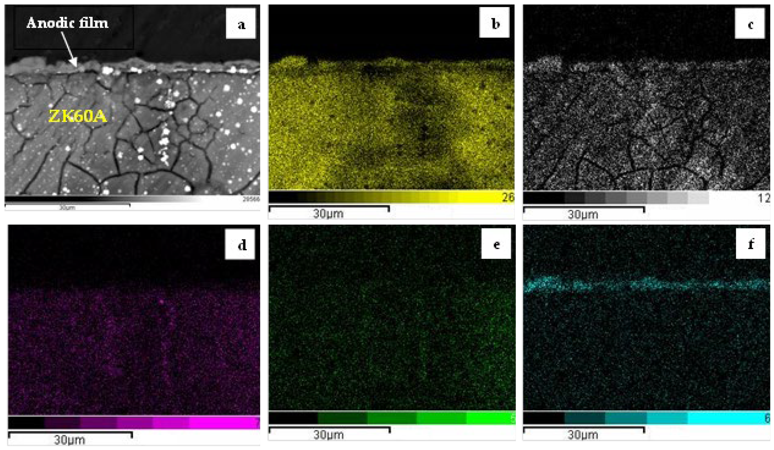 Metals 14 00210 g005