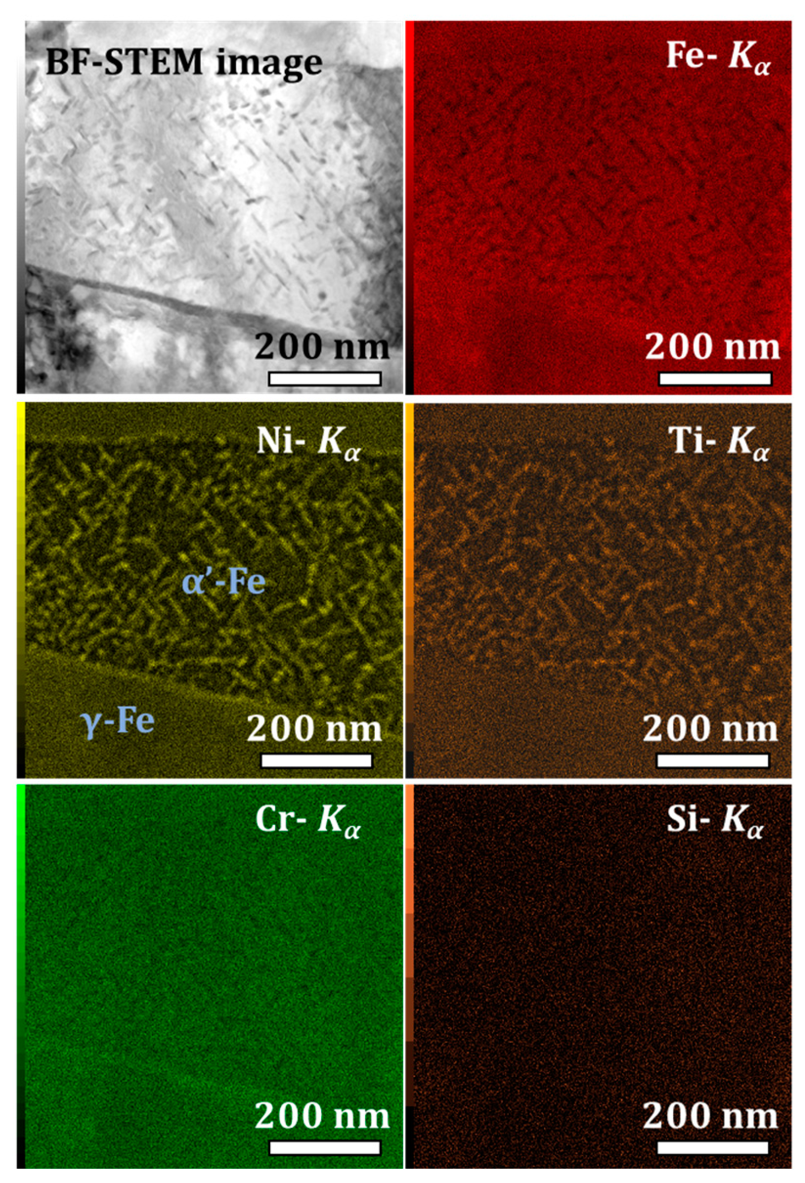 Metals 14 00218 g003