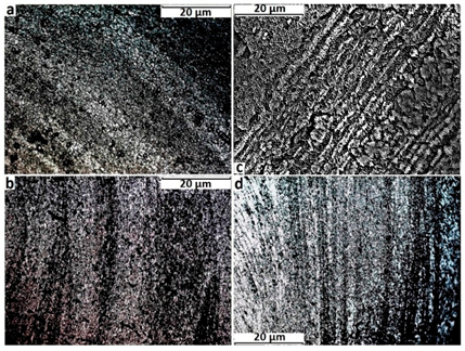 Metals 14 00240 i001