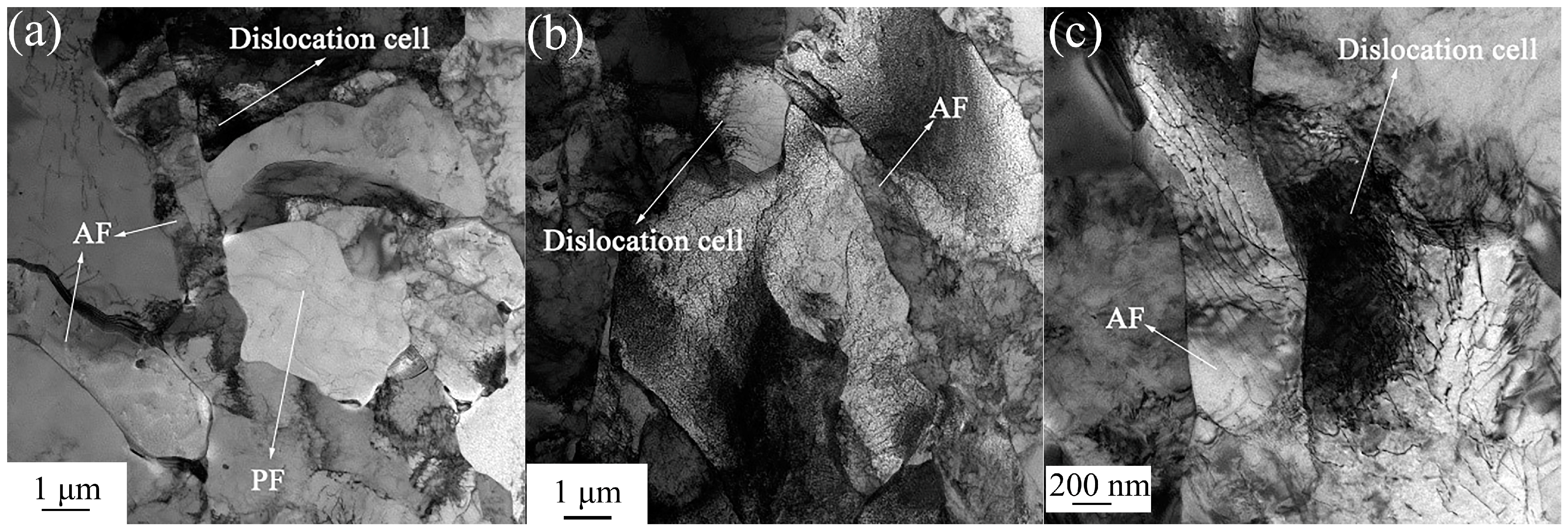 Metals 14 00249 g007 Metals 14 00249 g007