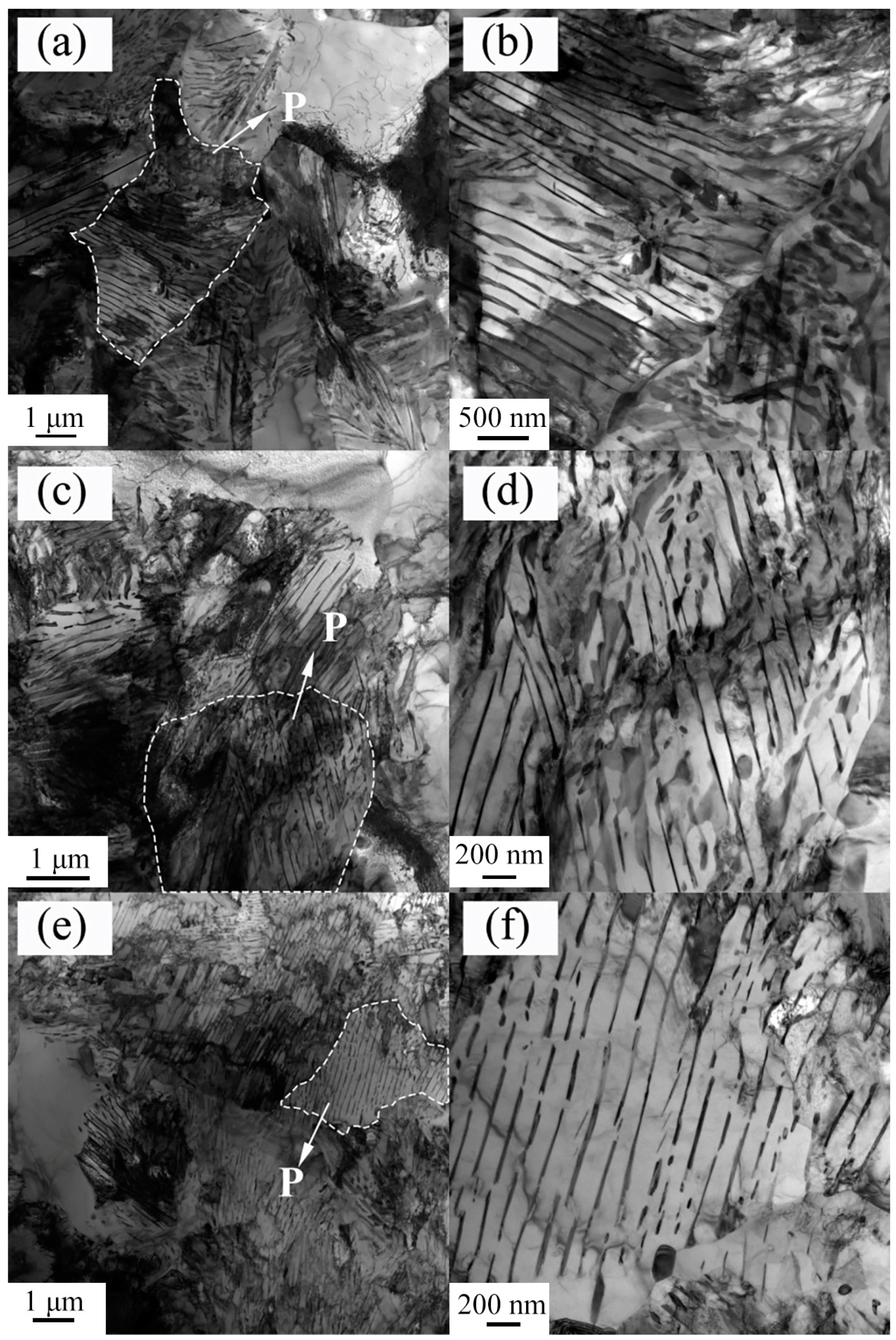 Metals 14 00249 g008 Metals 14 00249 g008