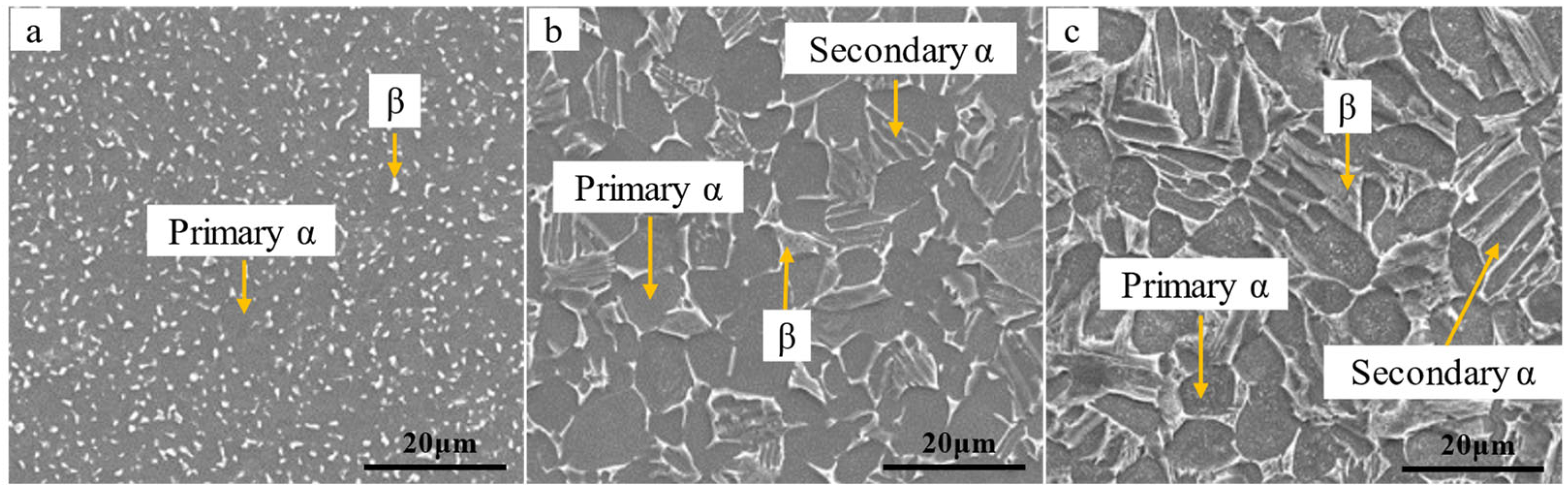 Metals 14 00254 g002