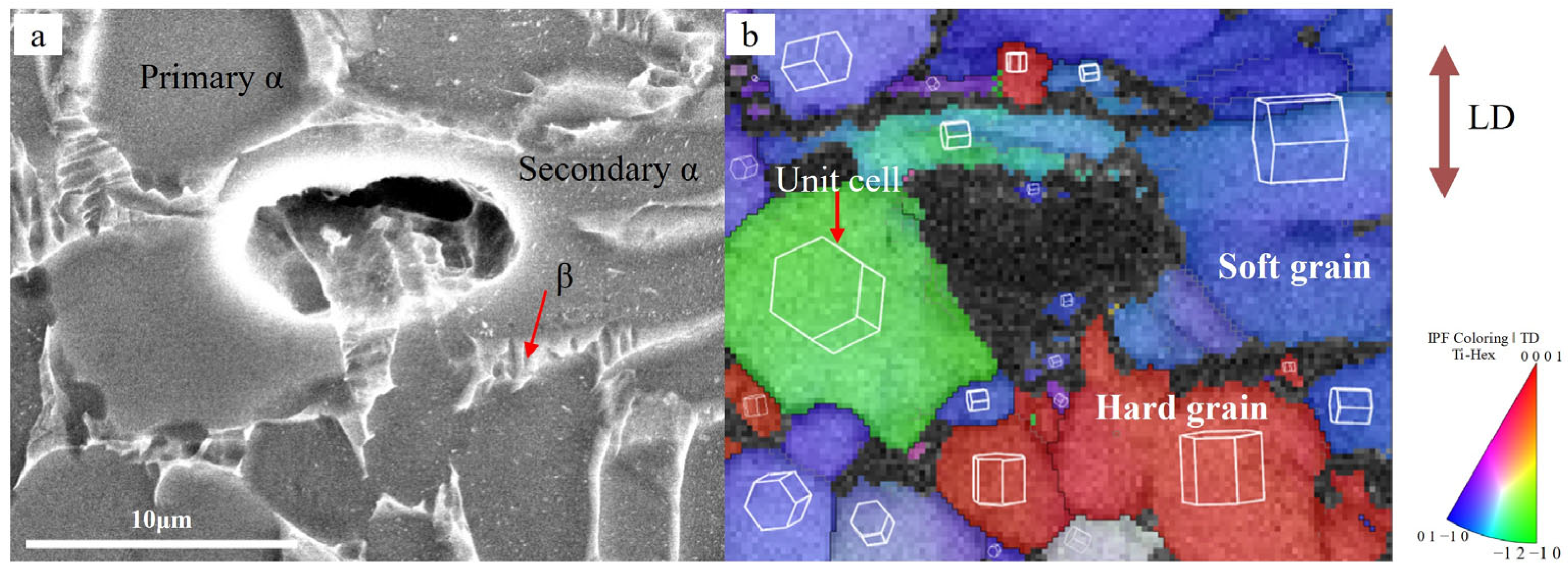 Metals 14 00254 g010
