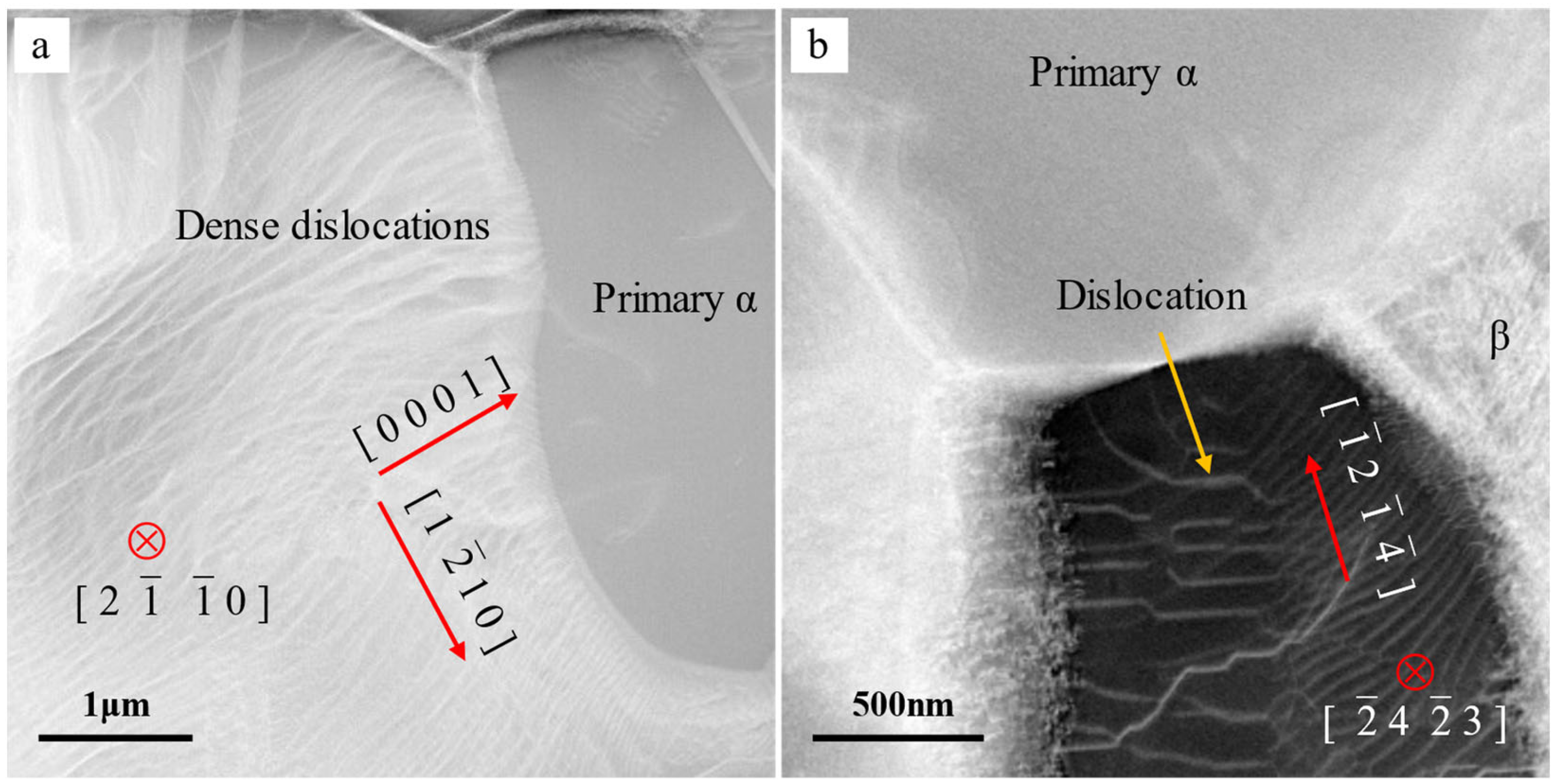Metals 14 00254 g012