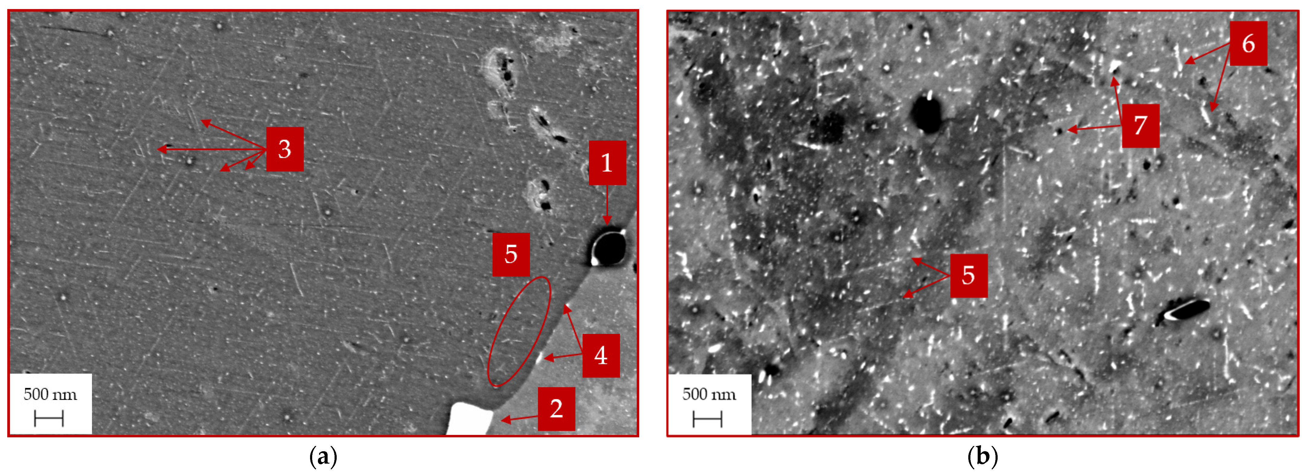 Metals 14 00258 g008