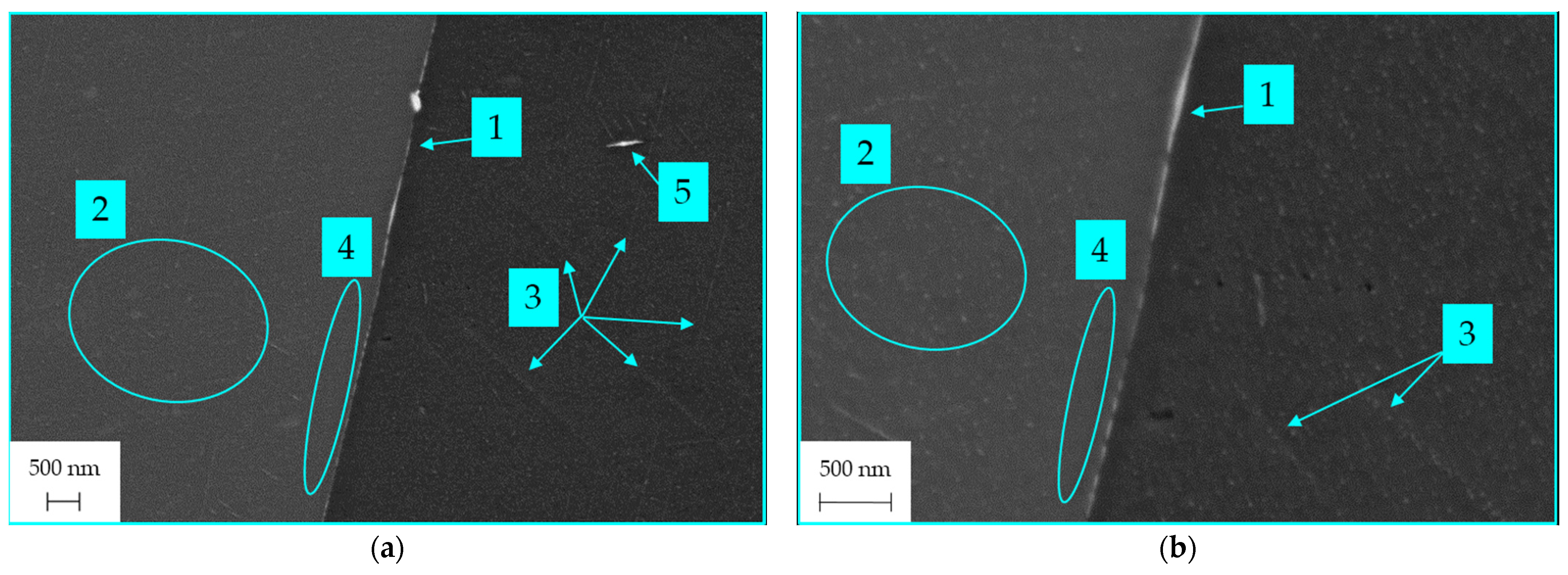 Metals 14 00258 g010