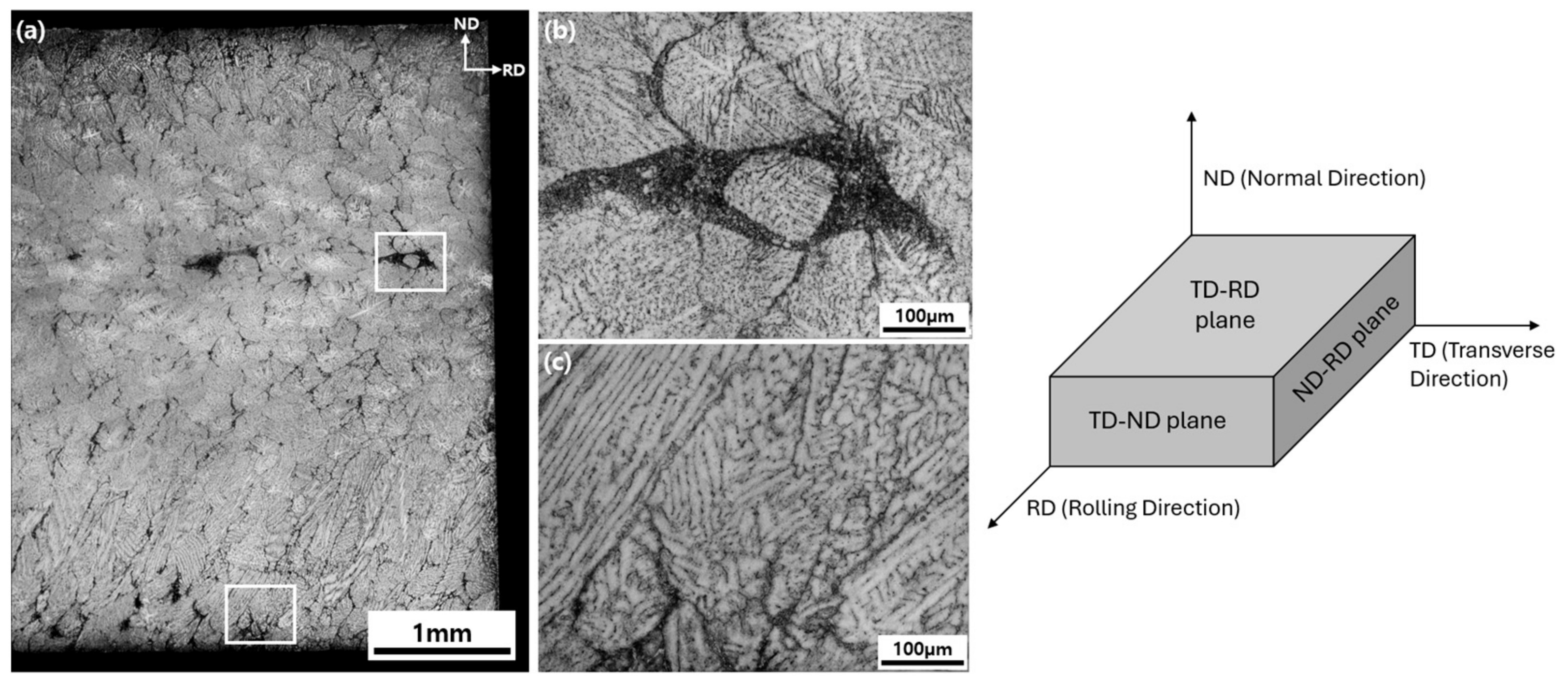 Metals 14 00261 g002
