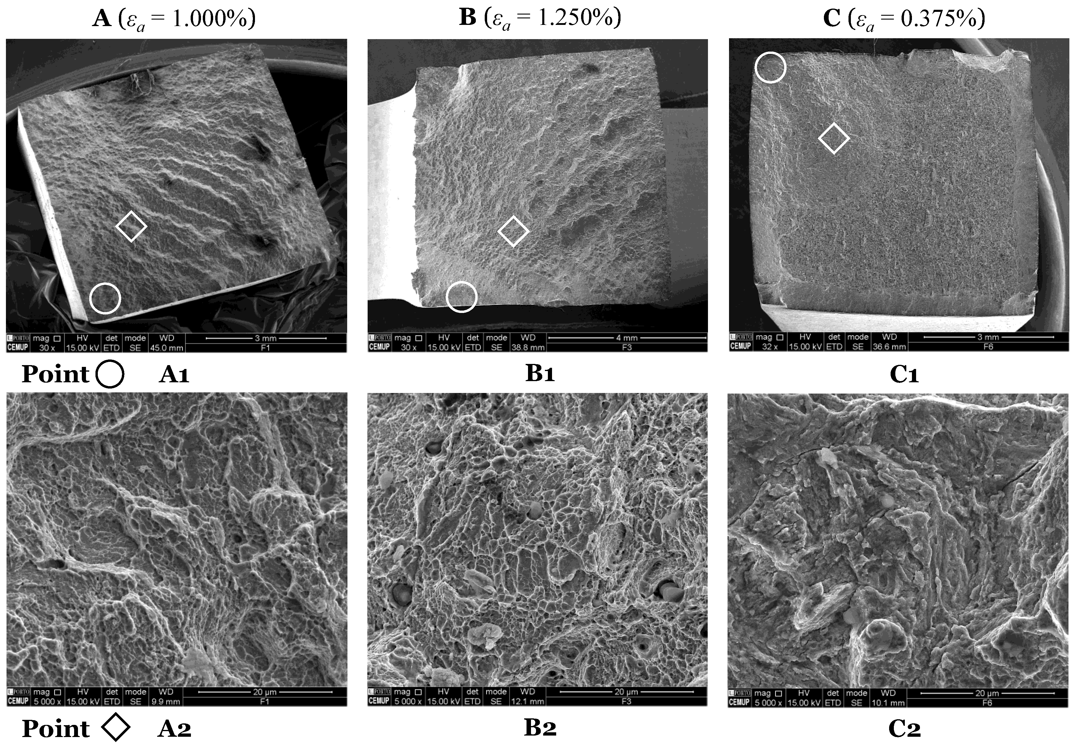 Metals 14 00266 g019a