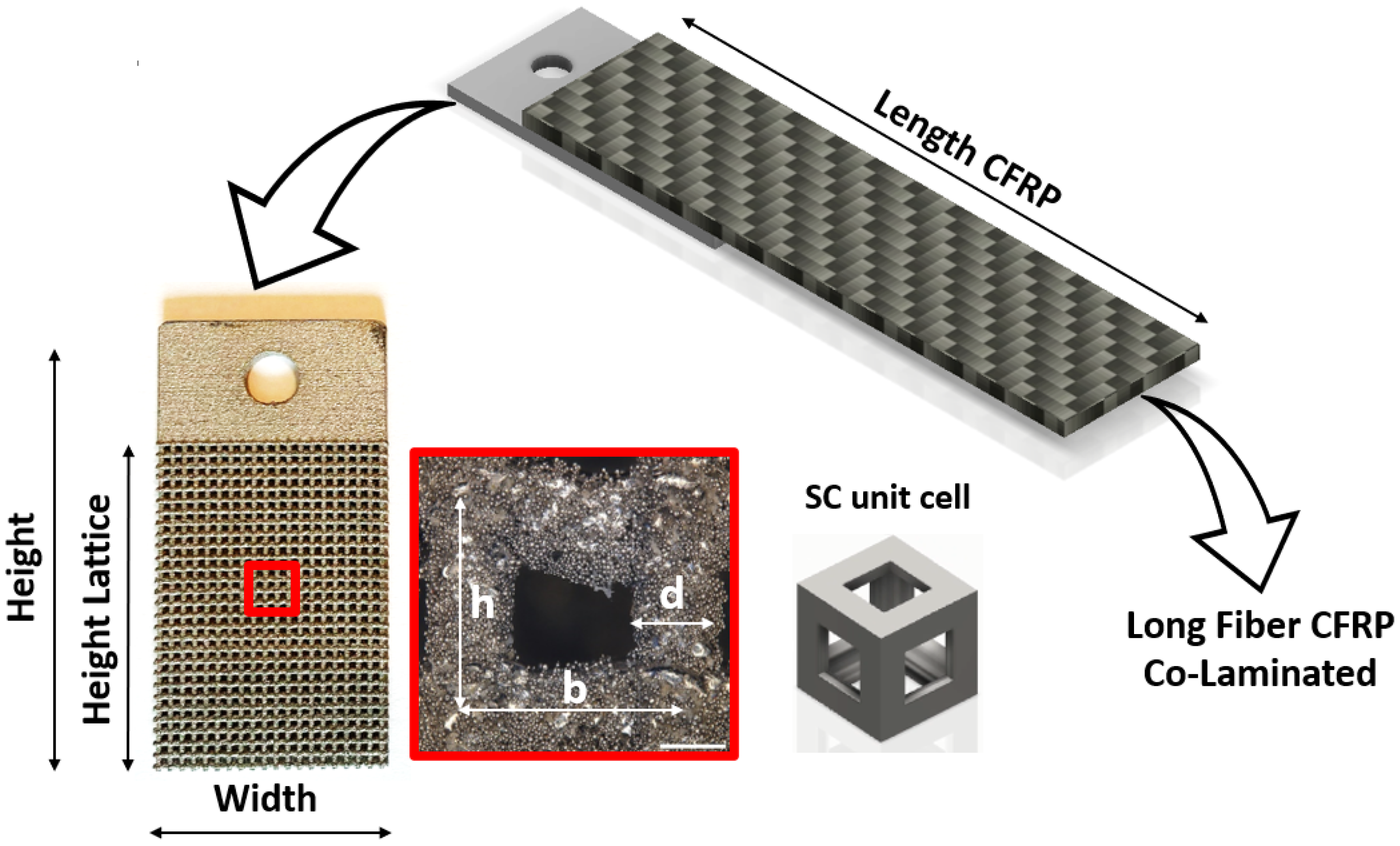 Metals 14 00268 g003