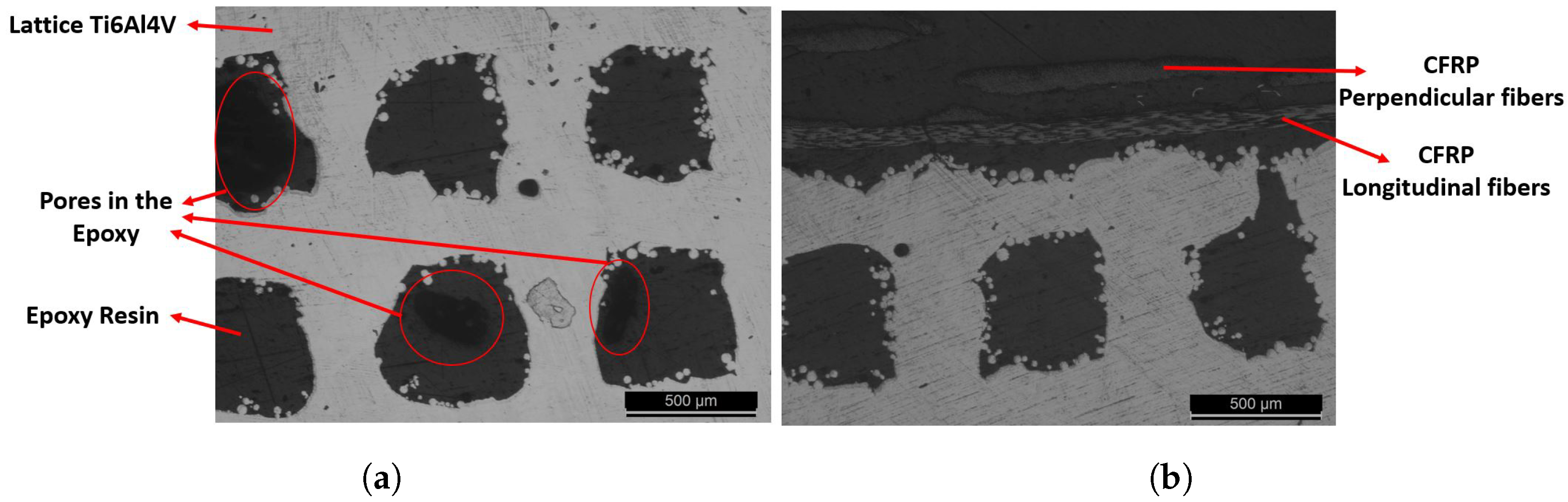 Metals 14 00268 g017