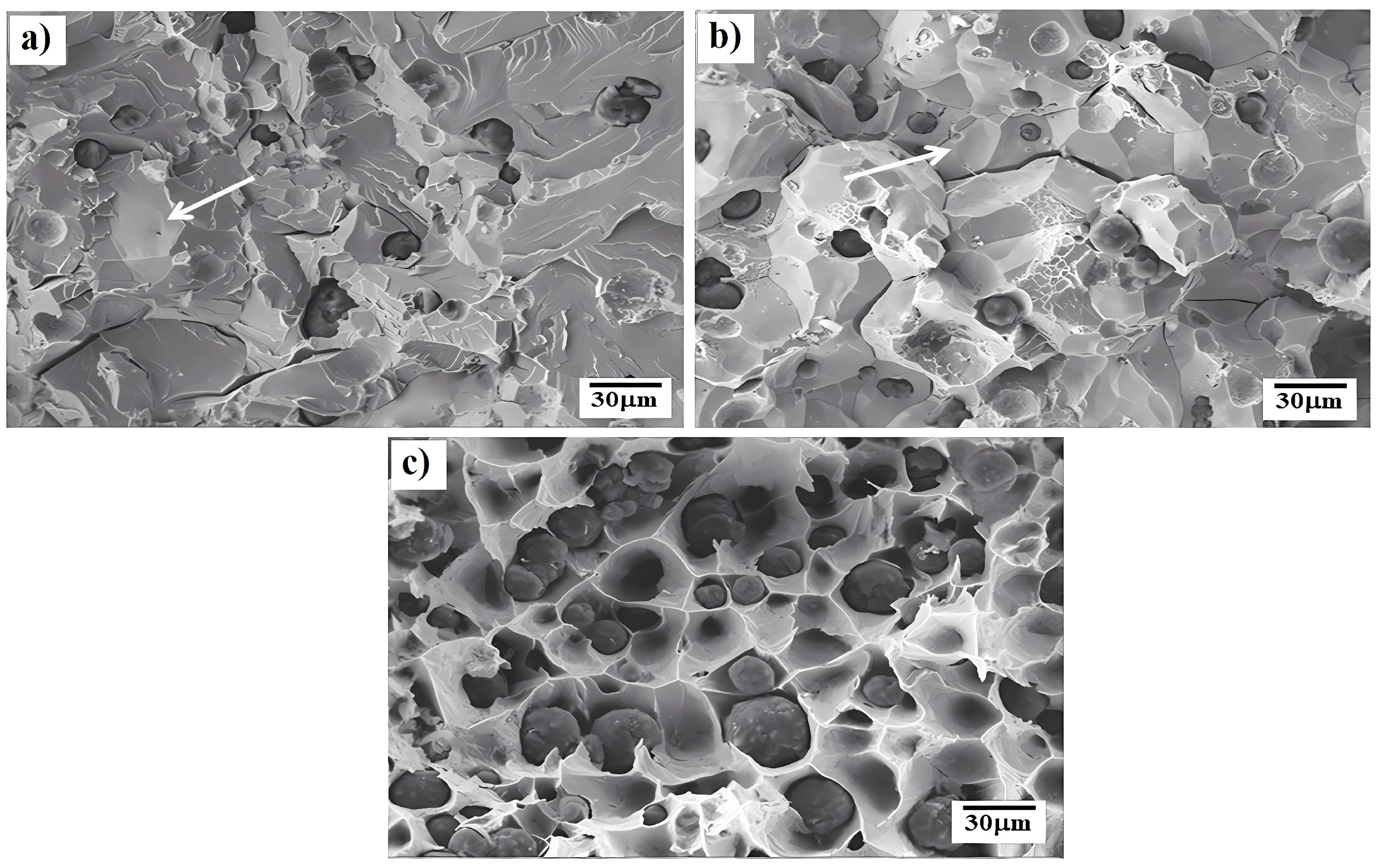 Metals 14 00270 g007