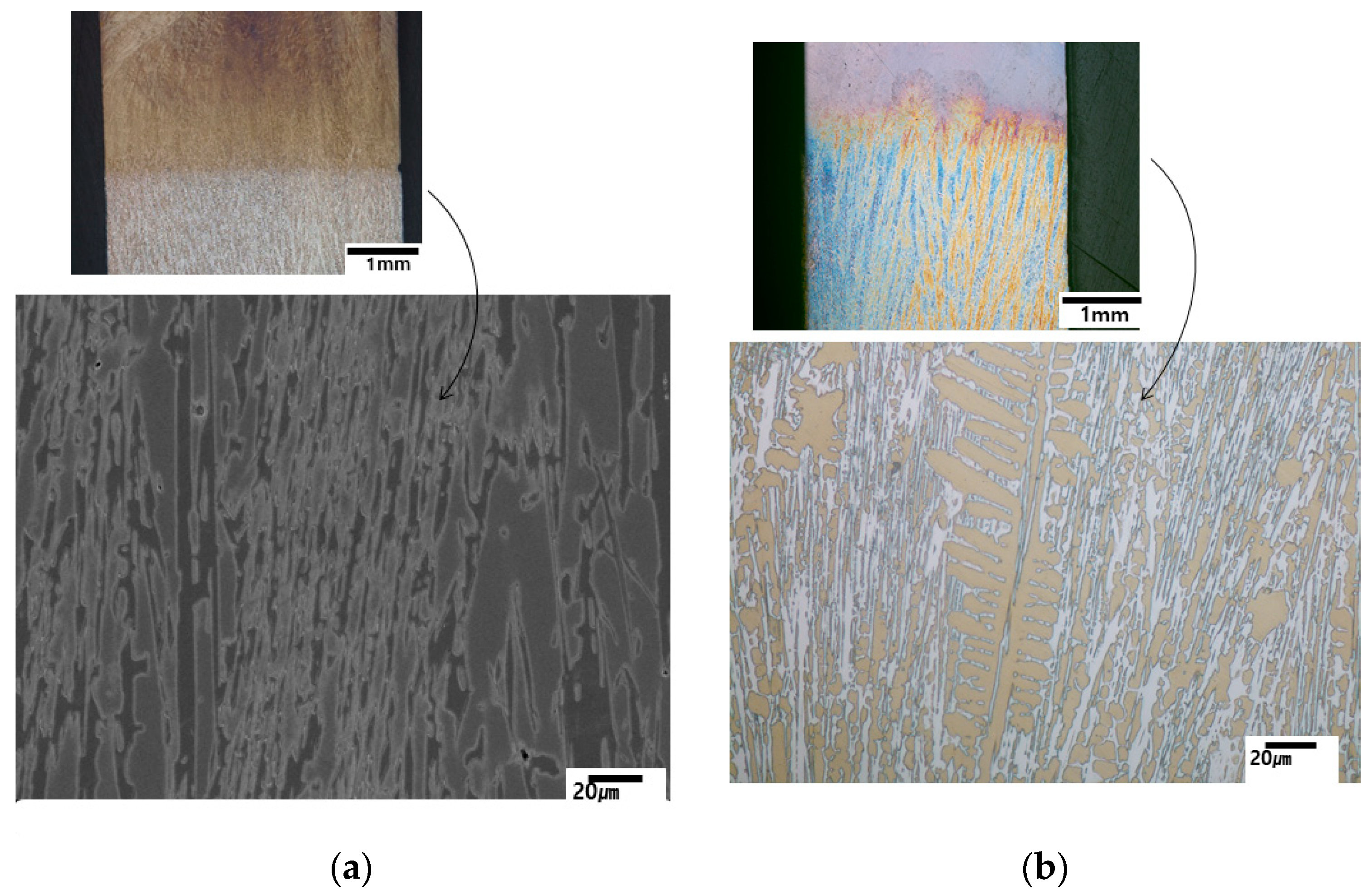 Metals 14 00276 g008