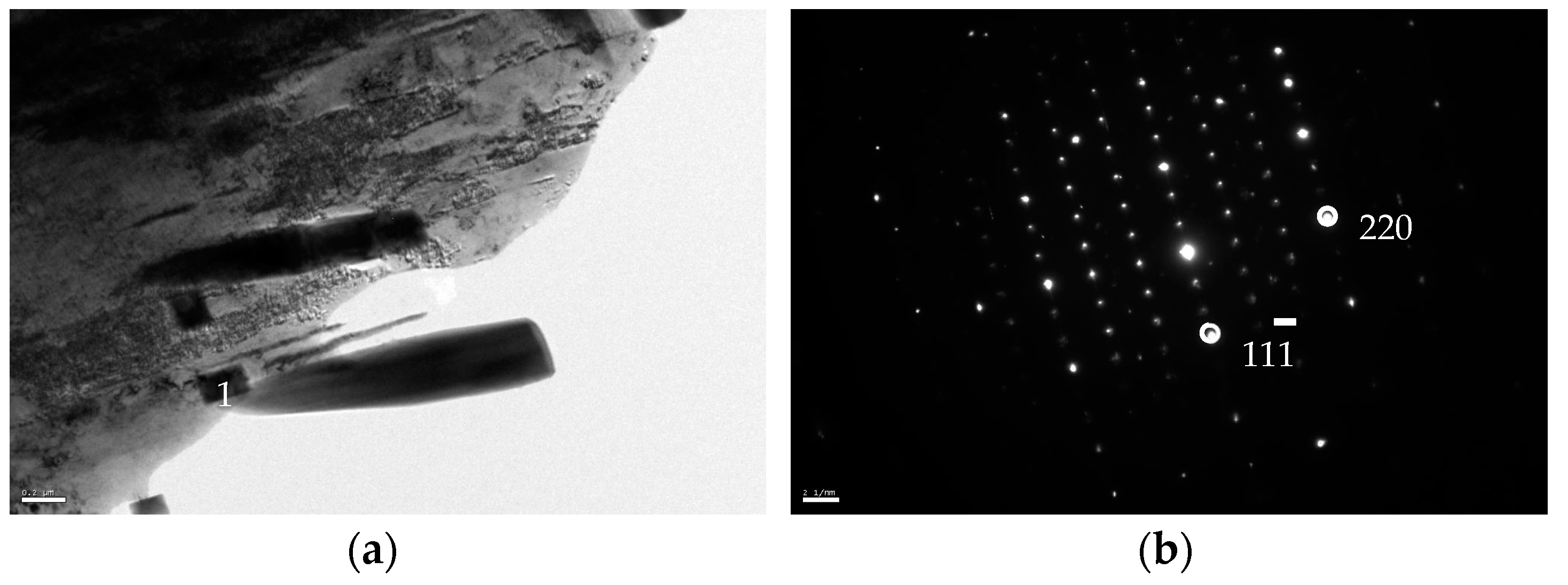 Metals 14 00276 g011