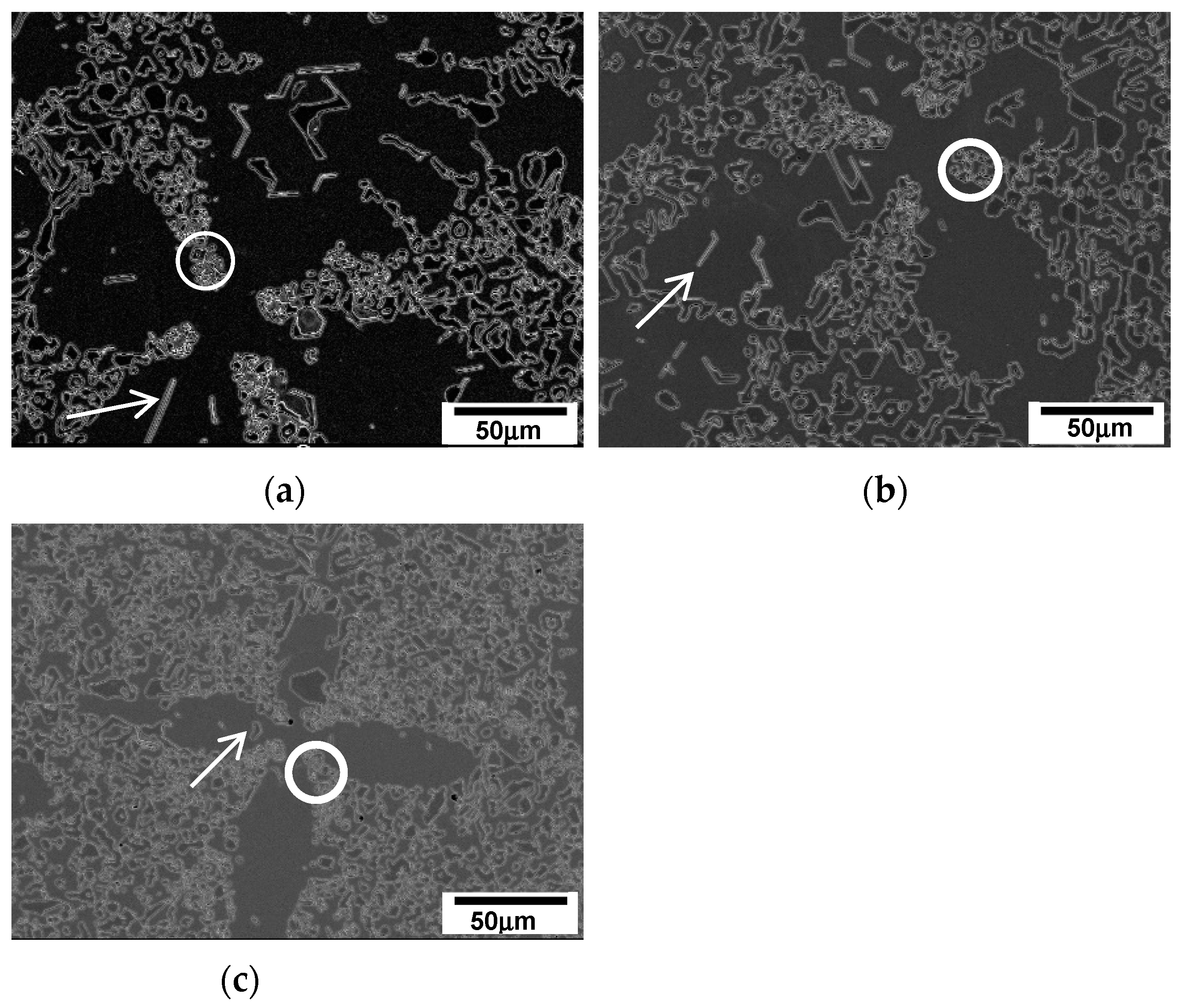 Metals 14 00276 g013