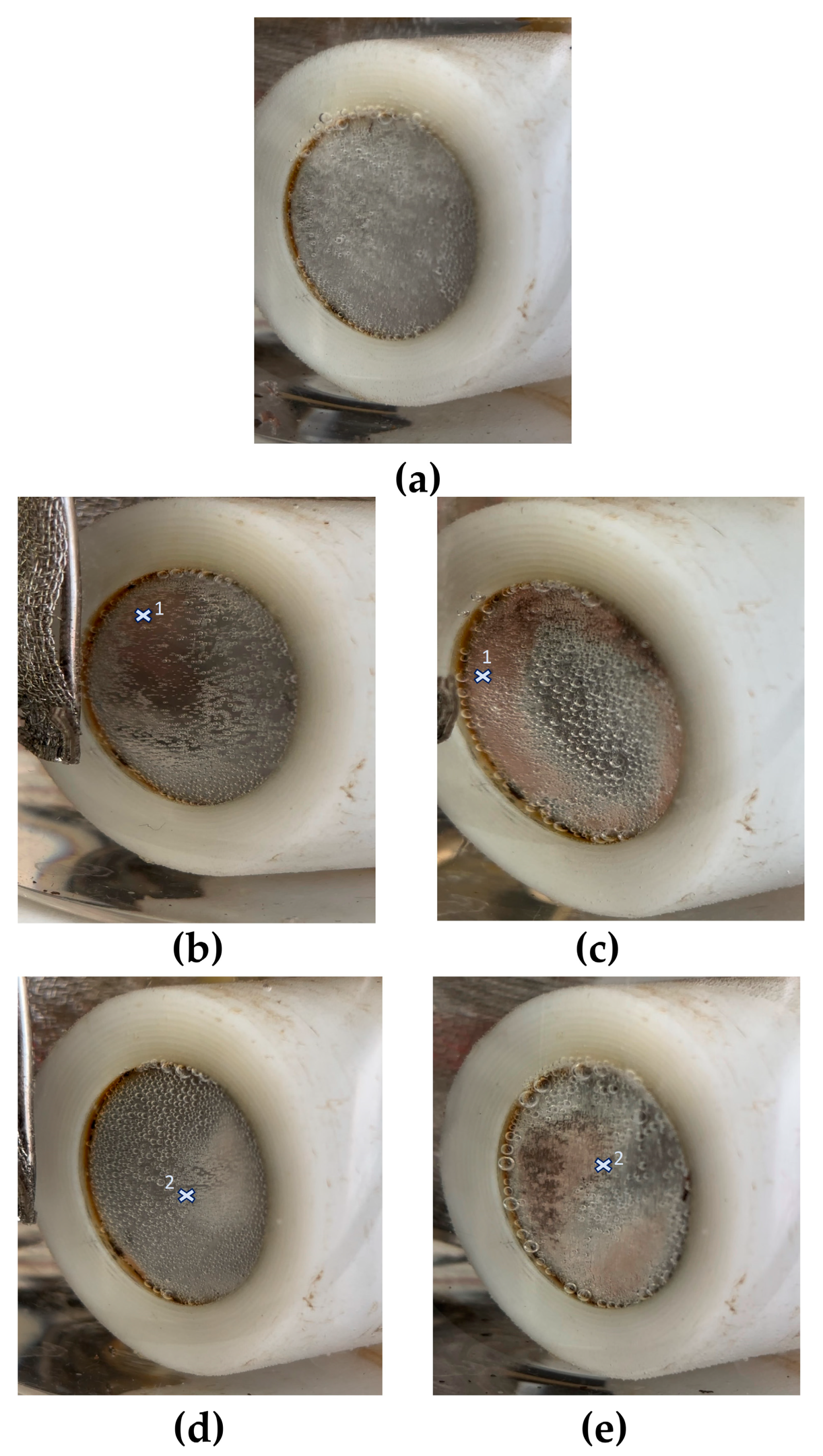 Metals 14 00281 g007