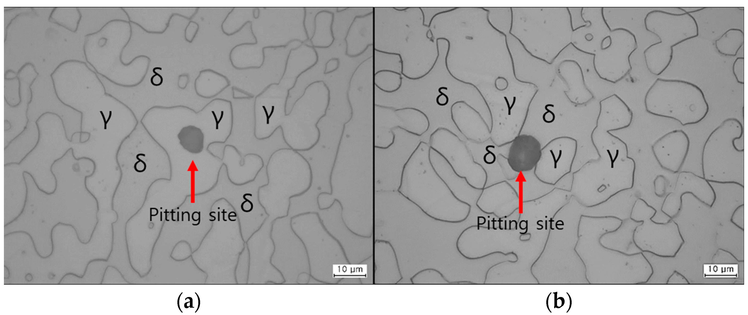 Metals 14 00284 g009