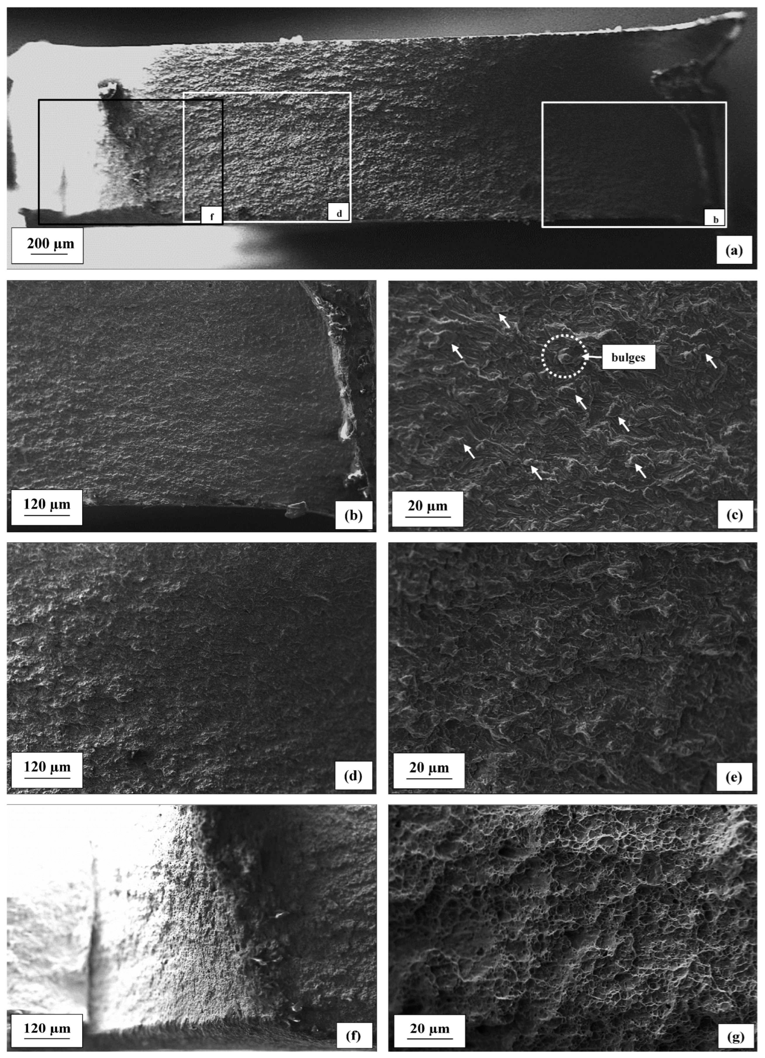 Metals 14 00305 g009