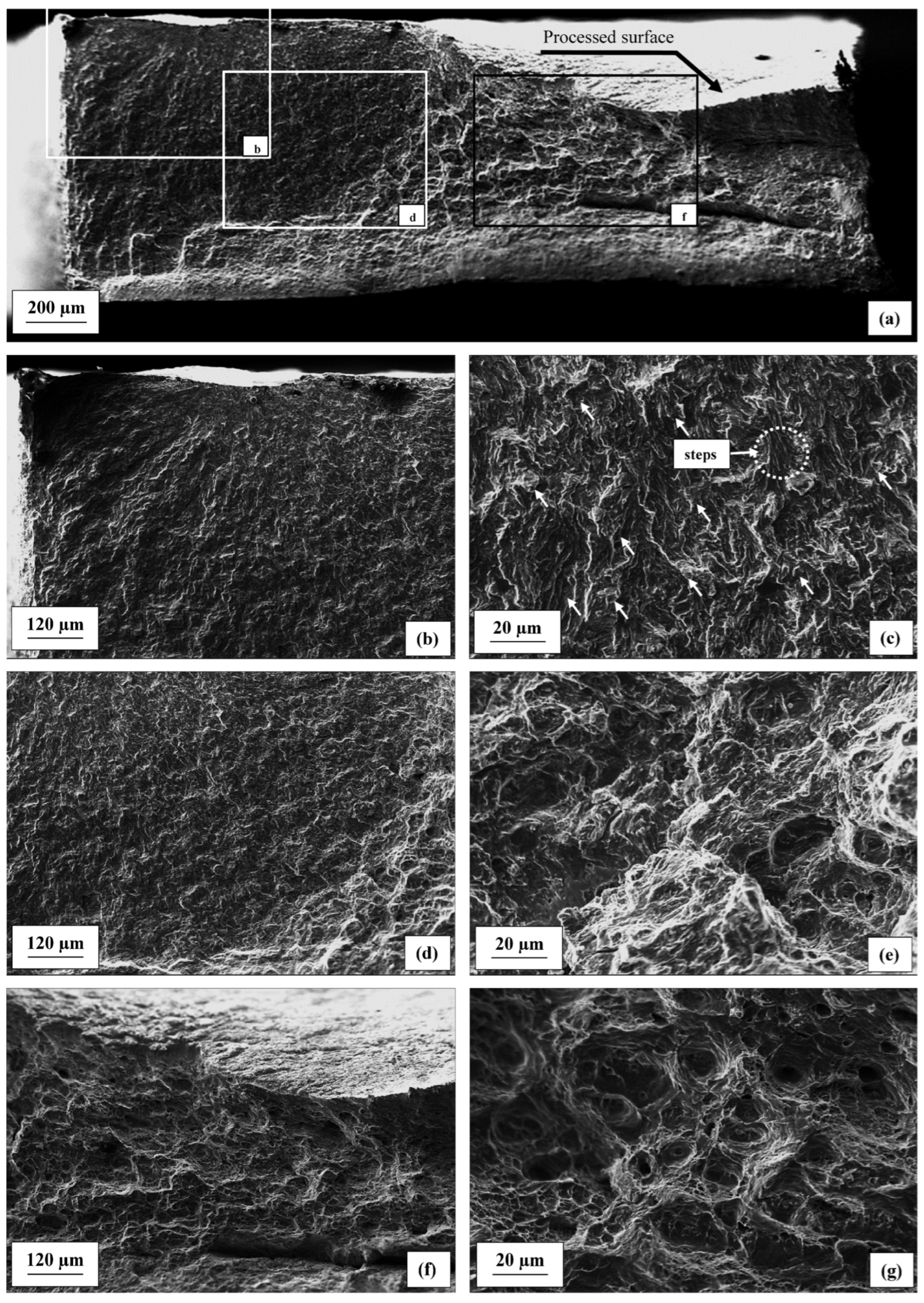Metals 14 00305 g011