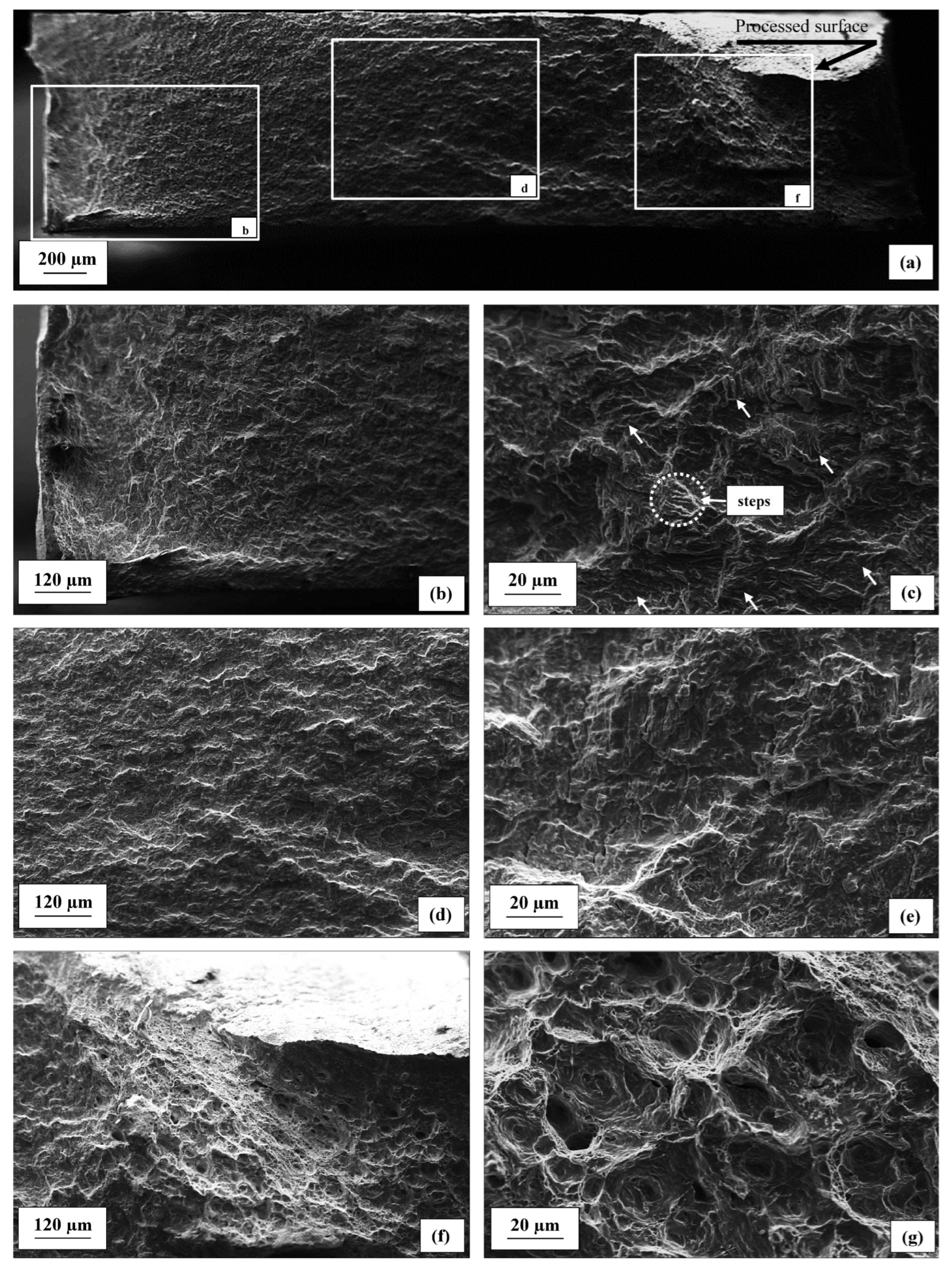 Metals 14 00305 g012