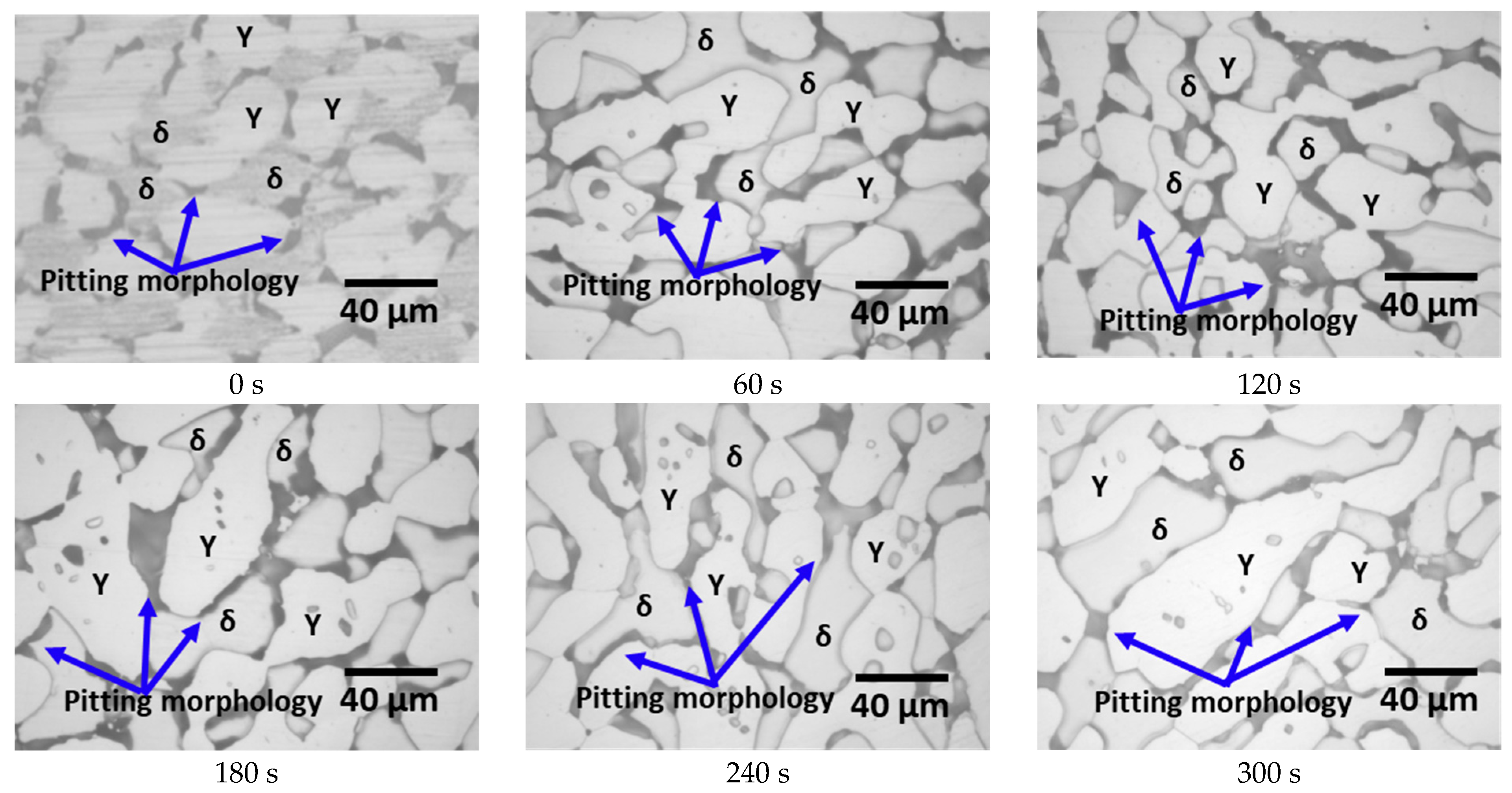 Metals 14 00307 g008