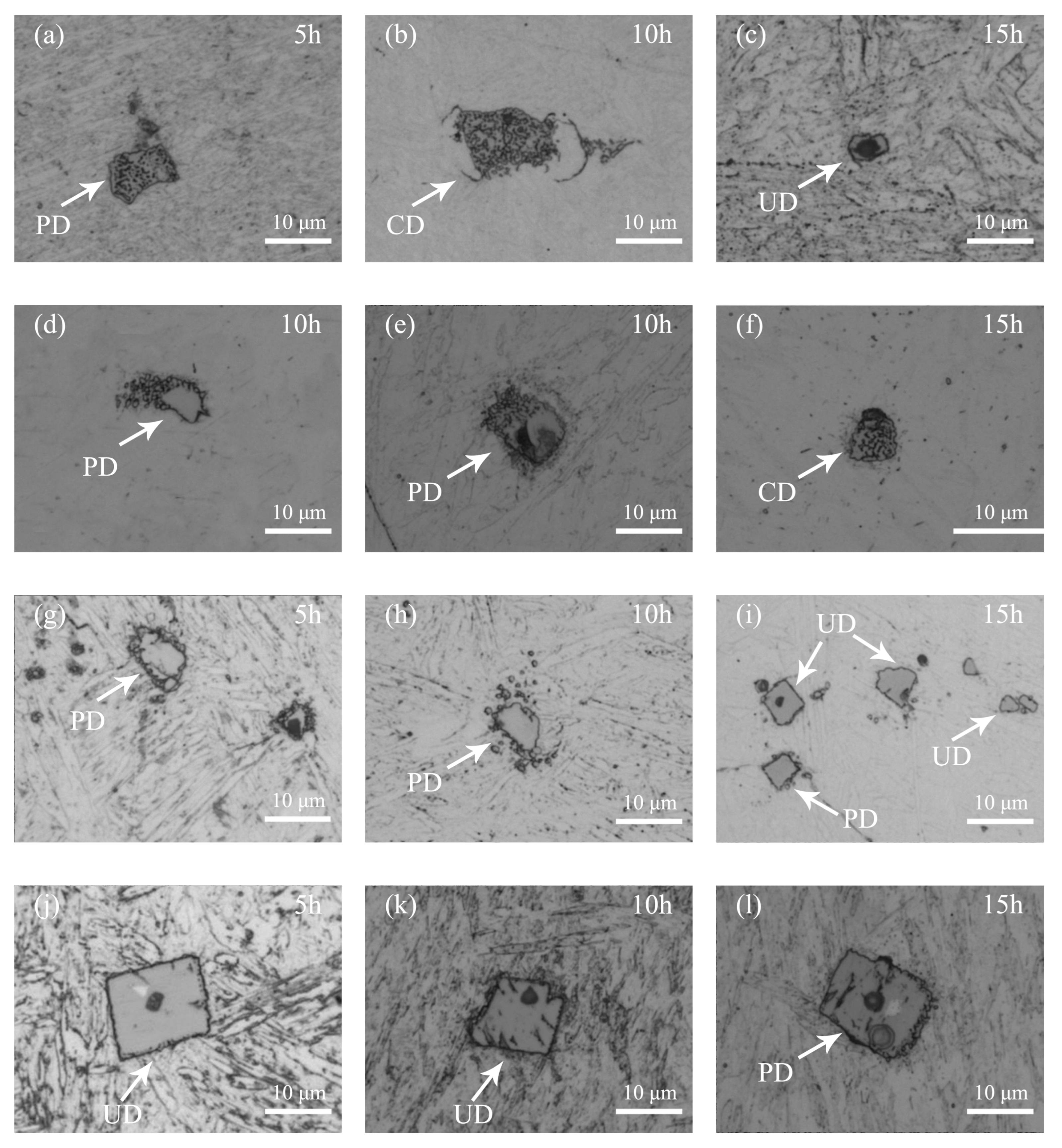 Metals 14 00317 g001