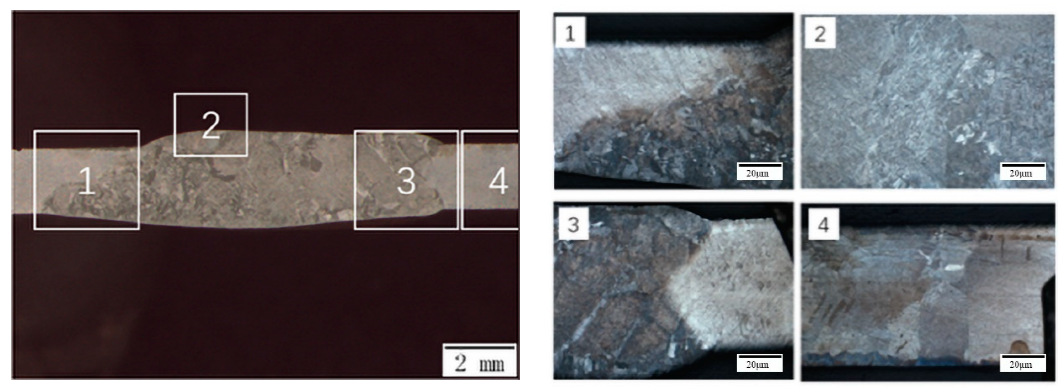 Metals 14 00319 g009