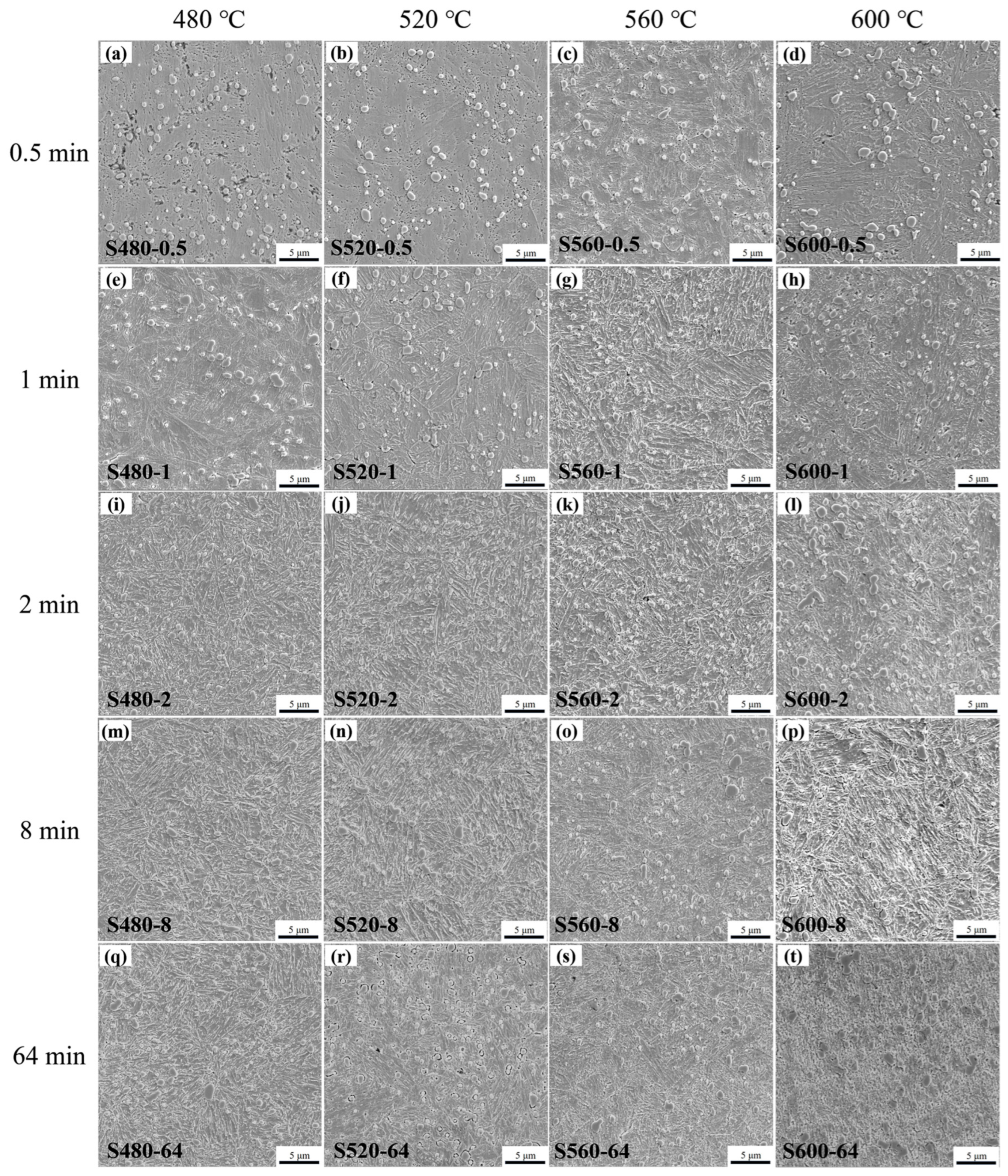 Metals 14 00322 g005