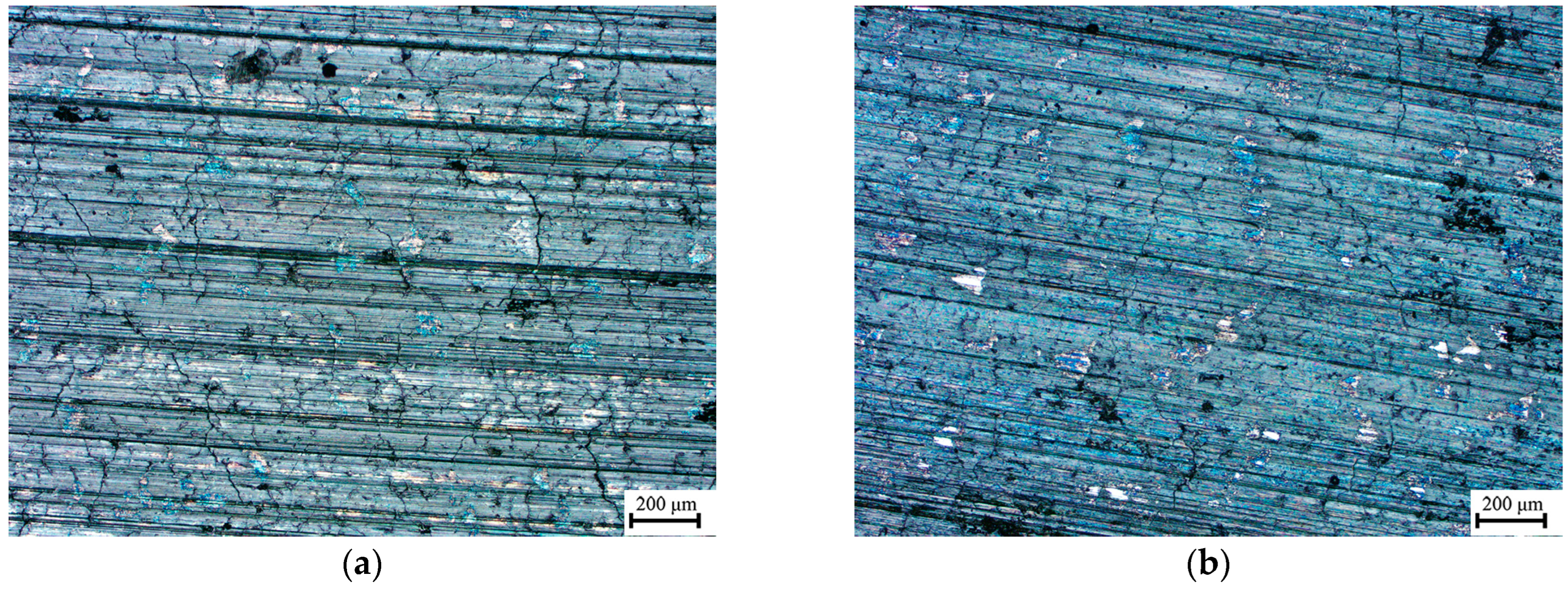 Metals 14 00332 g007