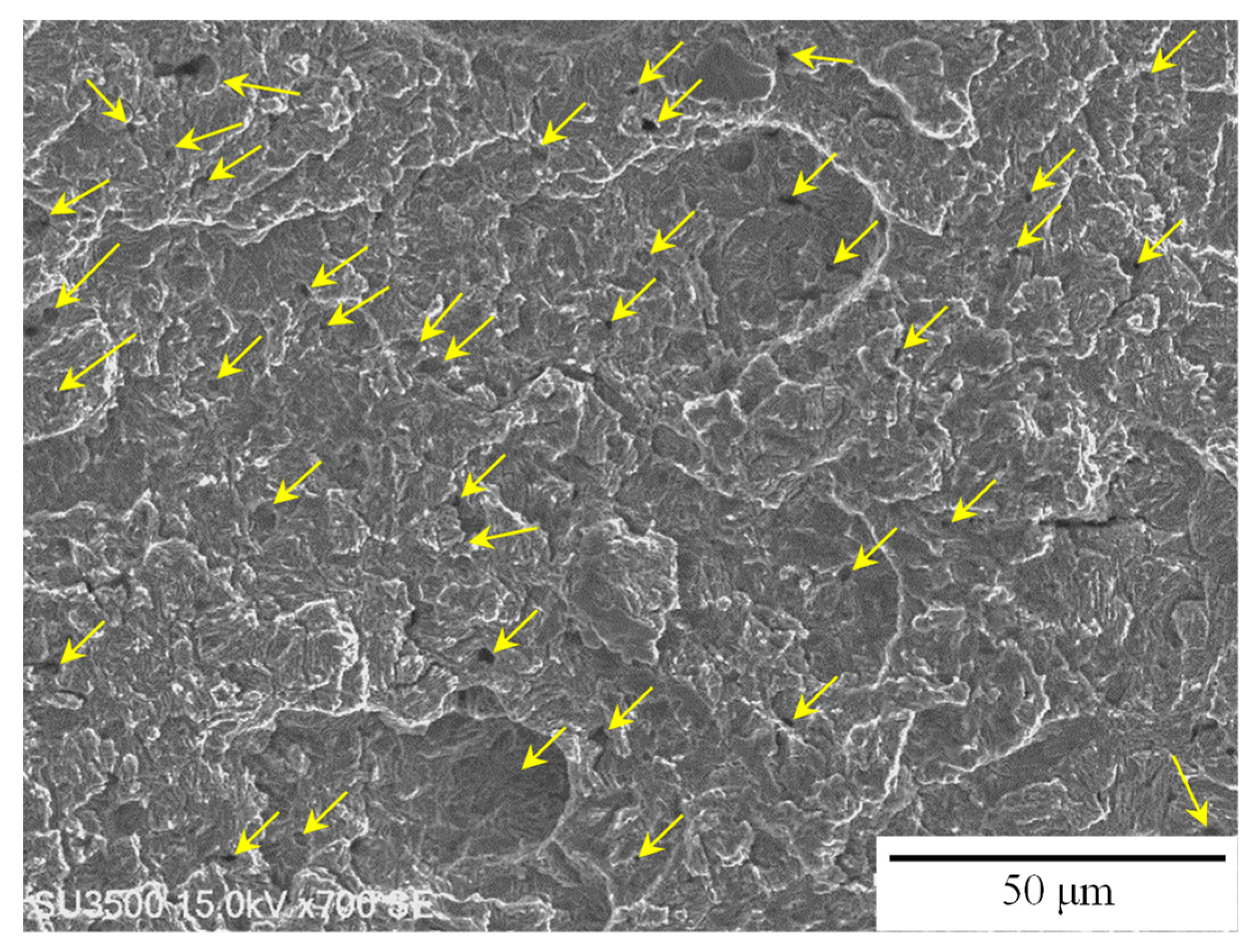 Metals 14 00346 g019